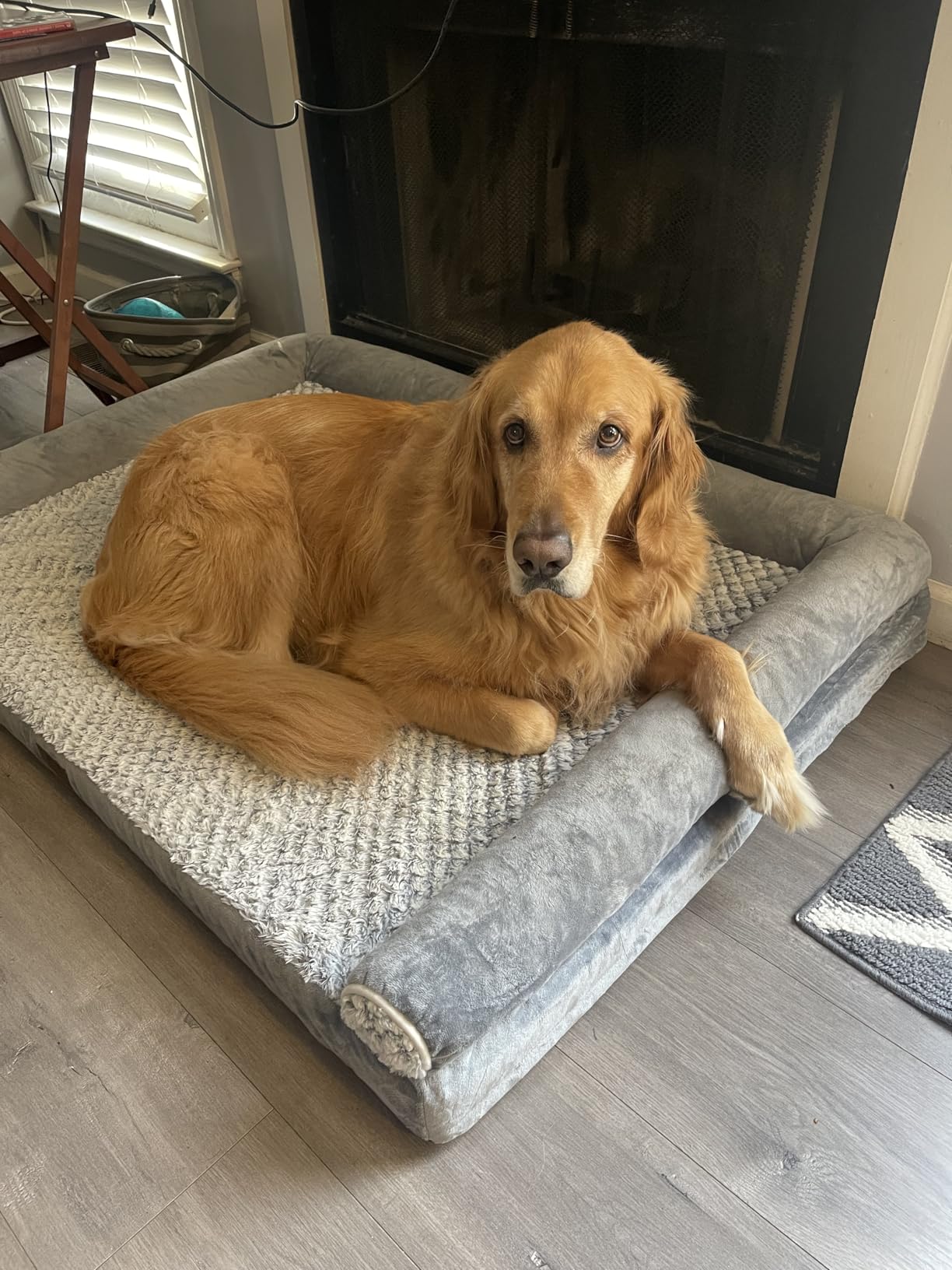 WNPETHOME Orthopedic Dog Beds for Extra Large Dogs, Waterproof Memory Foam XL Pet Bed with Sides, Non-Slip and Egg-Crate Foam Big Dog Couch Bed with Washable Removable Cover, Grey customer photo 1