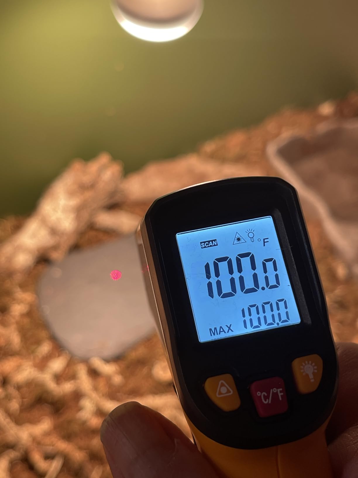 KNINE OUTDOORS Infrared Thermometer Laser Temperature Gun, -58°F to 1112°F, Single Laser Targeting, Distance to Spot Ratio 12:1, for Cooking, Oven and Meat (Orange) customer photo 2