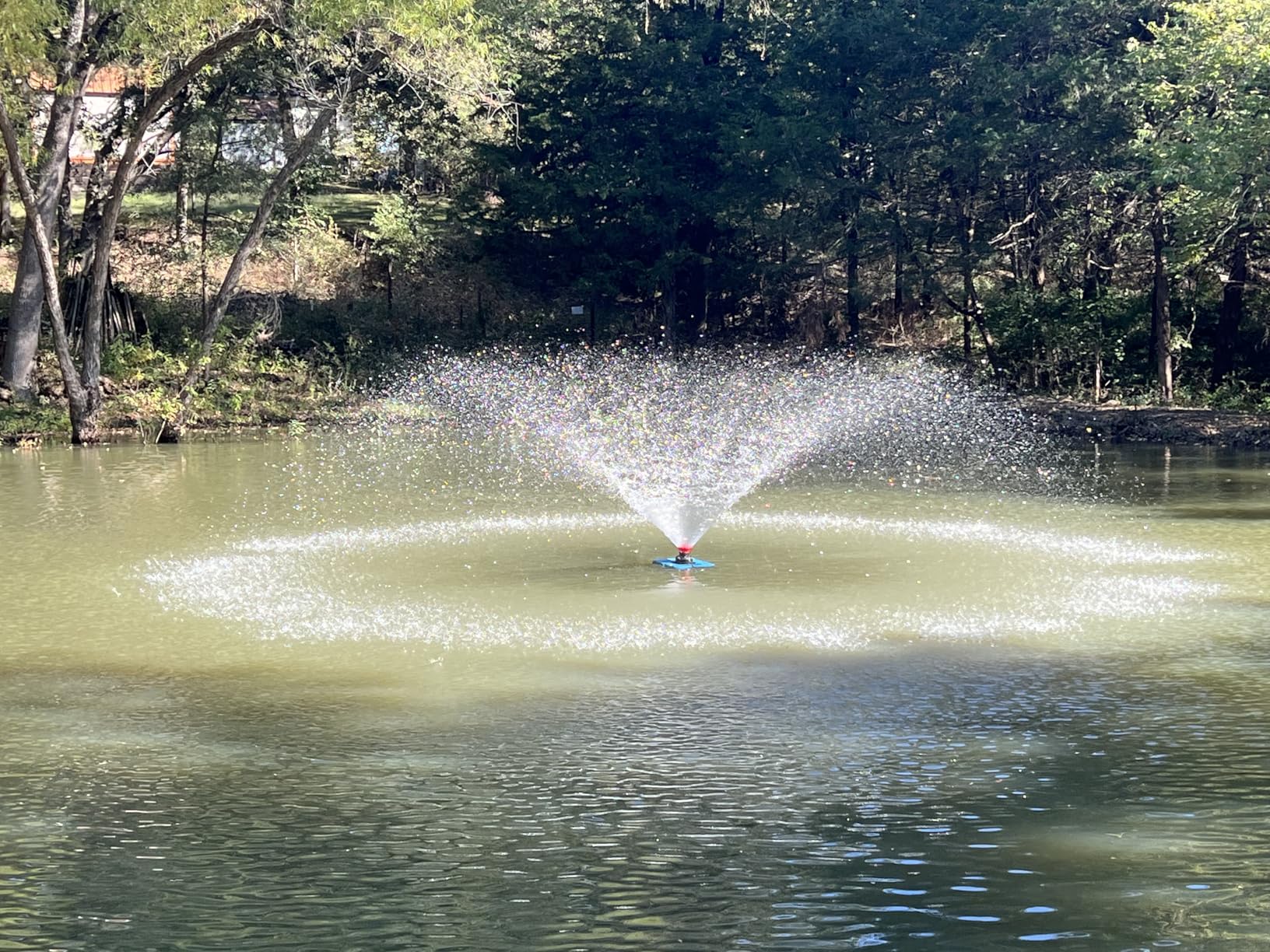 Goldlife Pond Fountain Aerator, F1-4 1HP 750W 110V PowerfuI Floating Pond Fountain Pump With 100 FT Power Cord, Outdoor Pond Aerating Fountains Cascade Pump for Small Large Ponds Lake Pond Jet System customer photo 1