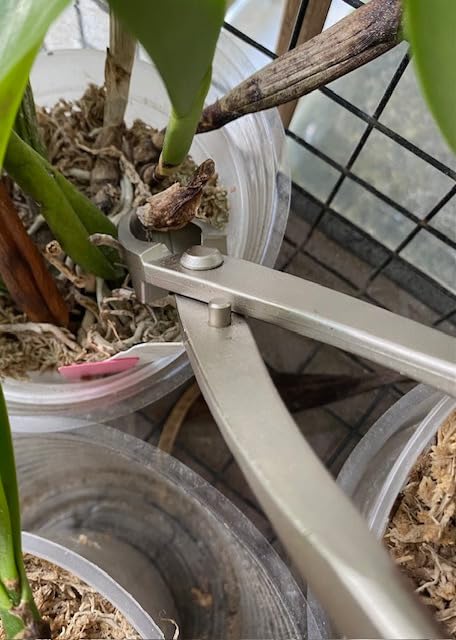 8 inch Concave Cutter, Stainless Steel Cutter for Bonsai & Gardening Pruning, Supplied By Jevie (Diagonal) customer photo 1