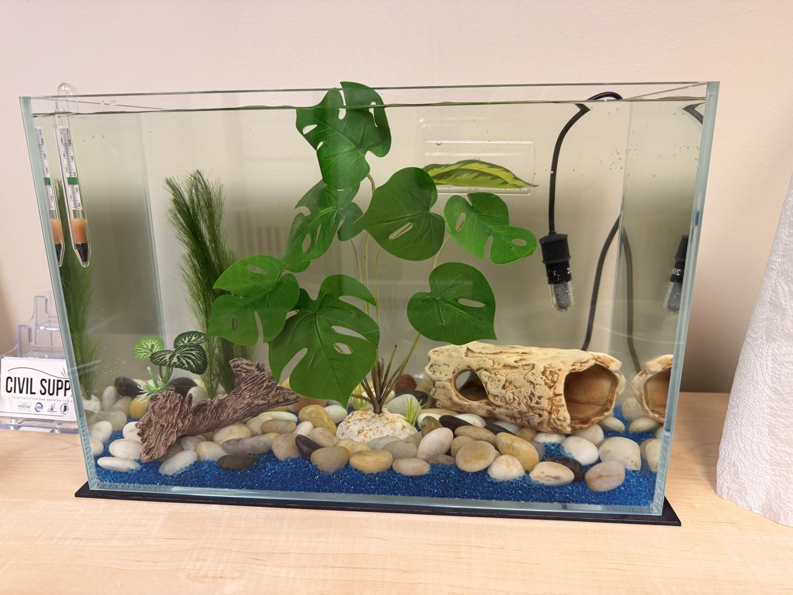 5 Gallon Glass Fish Tank, Easy to Maintain Small Aquarium for Betta/Goldfish/Snails/Shrimp and Aquatic Planting customer photo 1
