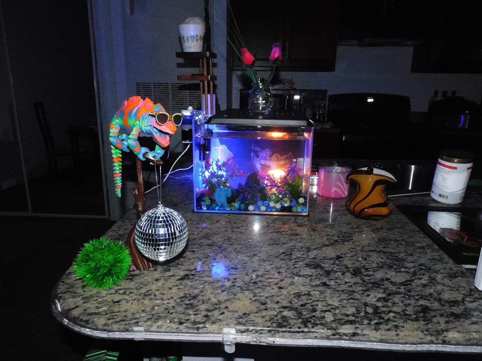 5 Gallon Glass Fish Tank, Easy to Maintain Small Aquarium for Betta/Goldfish/Snails/Shrimp and Aquatic Planting customer photo 2