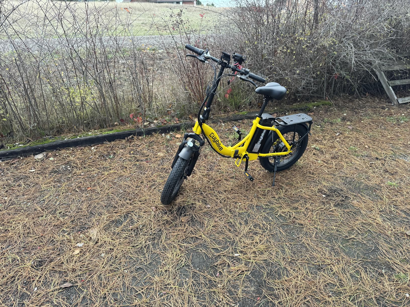 1000W Folding Electric Bike,48V 20AH Removable Battery E Bike,30+MPH,80 Miles Max Range Electric Bike for Adults,20