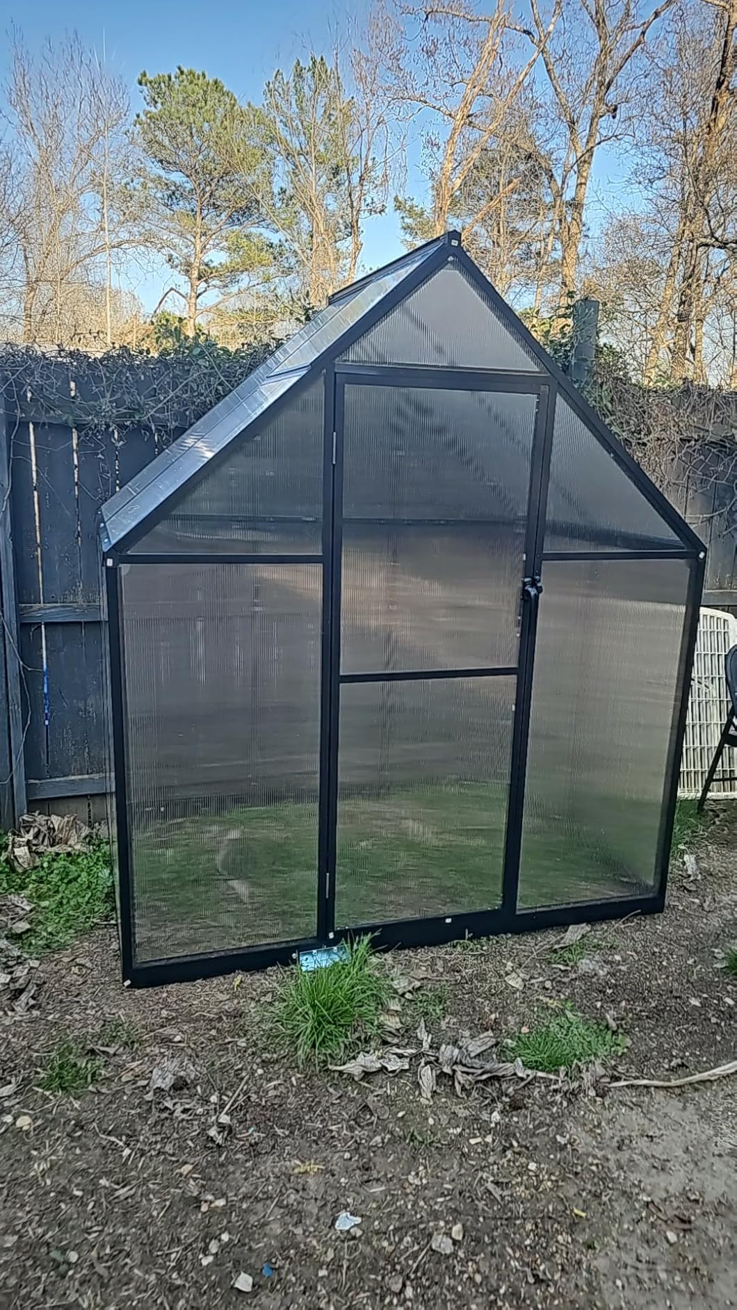 8X10FT Green Houses for Outside with Electronic Thermometers, Walk-in Greenhouse Kit with Drainage Channel Roof Vent for Backyard, Greenhouses for Winter Withstands Strong Wind or Snow customer photo 1