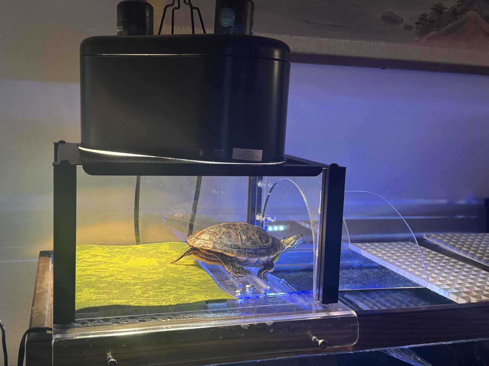 Turtle Topper Basking Platform for Aquatic Turtles 10/20/29/55 Gallon Tank, Aquatic Reptile Ramp Dock, Terrace, Accessories customer photo 1