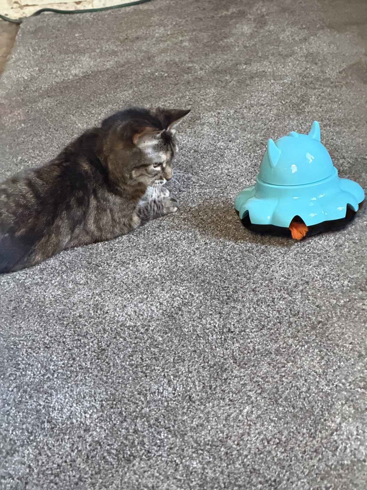 MIKK Cat Laser Feather Toy 2-in-1 Interactive for Indoor Cats Automatic with Remote Control USB-C Rechargeable, No Batteries Needed, Easy Setup, Multi-Cat Use Electronic Kitten Exercise Toy (Blue) customer photo 1