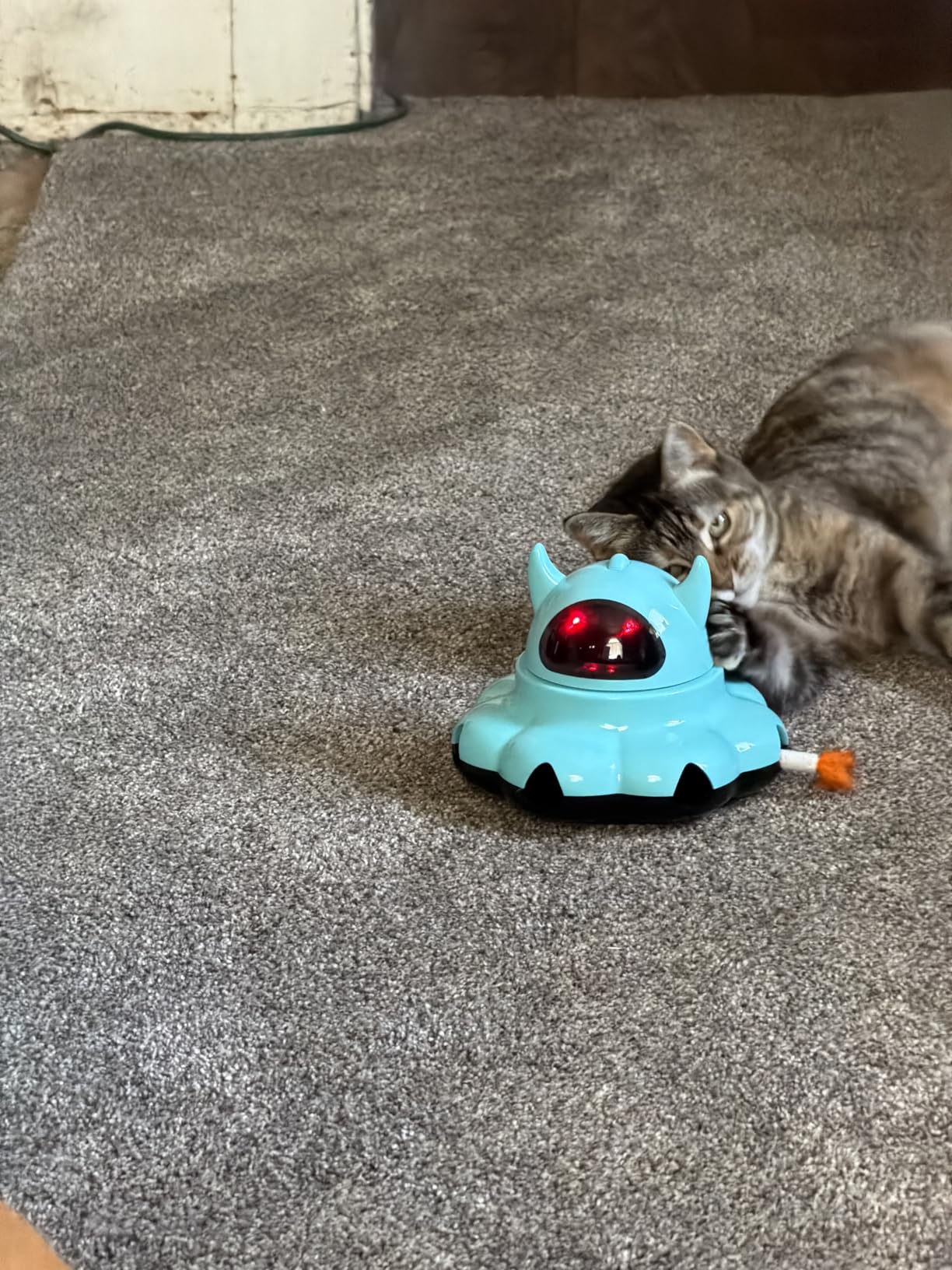 MIKK Cat Laser Feather Toy 2-in-1 Interactive for Indoor Cats Automatic with Remote Control USB-C Rechargeable, No Batteries Needed, Easy Setup, Multi-Cat Use Electronic Kitten Exercise Toy (Blue) customer photo 2