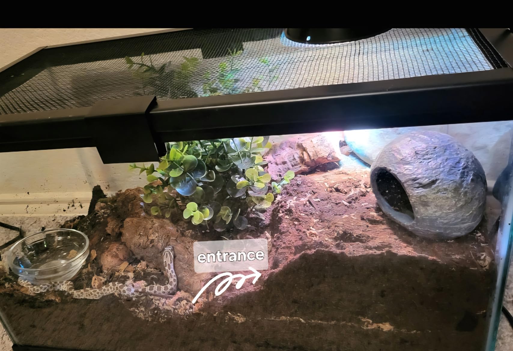 Durable Reptile Hide Box, Ball Python Hide, Leopard Gecko Hide, Bearded Dragon Hide, Easy to Clean Reptile Hides Cave for Tank, Snake Hide Enclosure (9.45