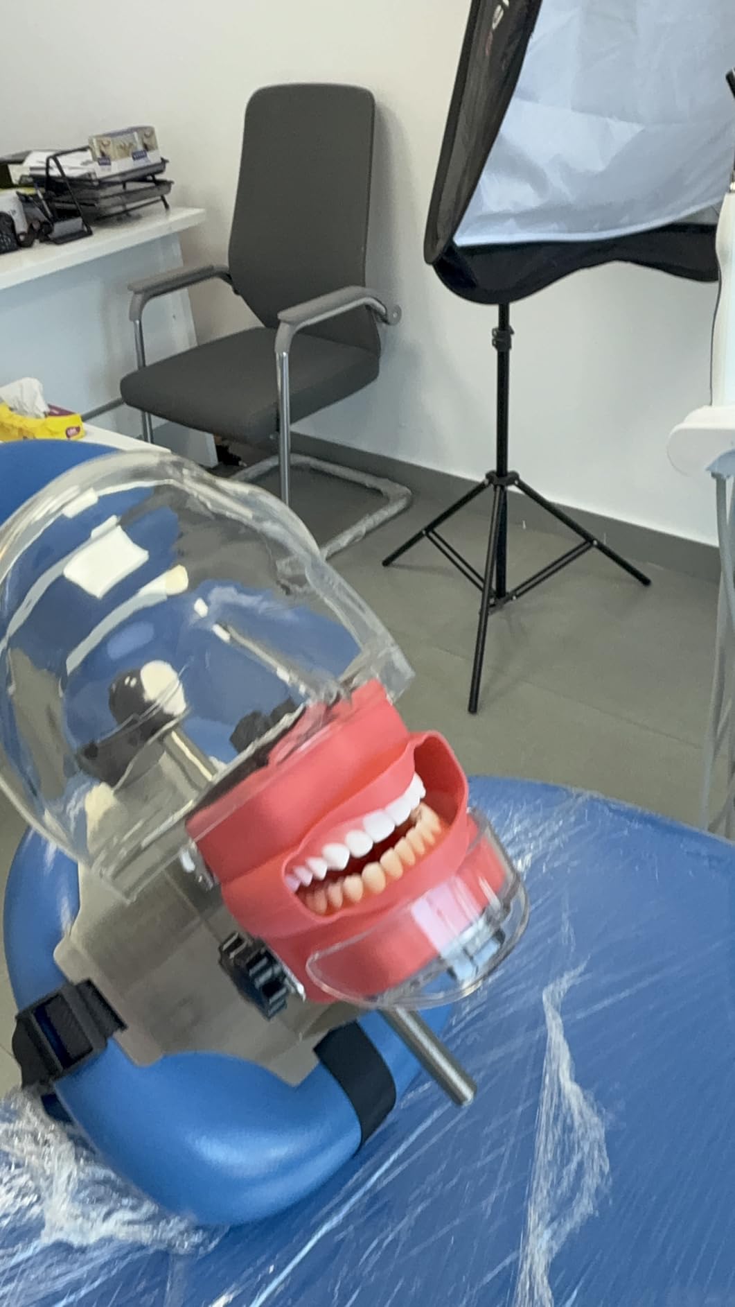 Dental Manikin Simulator Phantom Head (28 Teeth): Dental Mannequin Head with Detachable Teeth, 180-Degree Rotatable, Height Adjustable, Bandage Installation customer photo 1