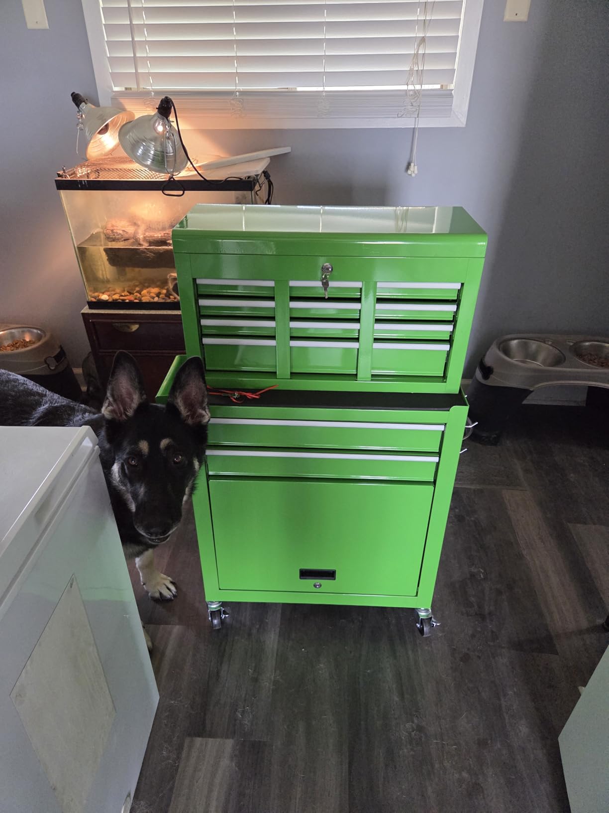 Tool Chest, 8-Drawer Rolling Tool Storage Cabinet with Wheels, Detachable Top Tool Box, and Locking Mechanism, Metal Barber Tool Cart with Liner and 6 Hooks for Garage, Workshop, Green customer photo 1