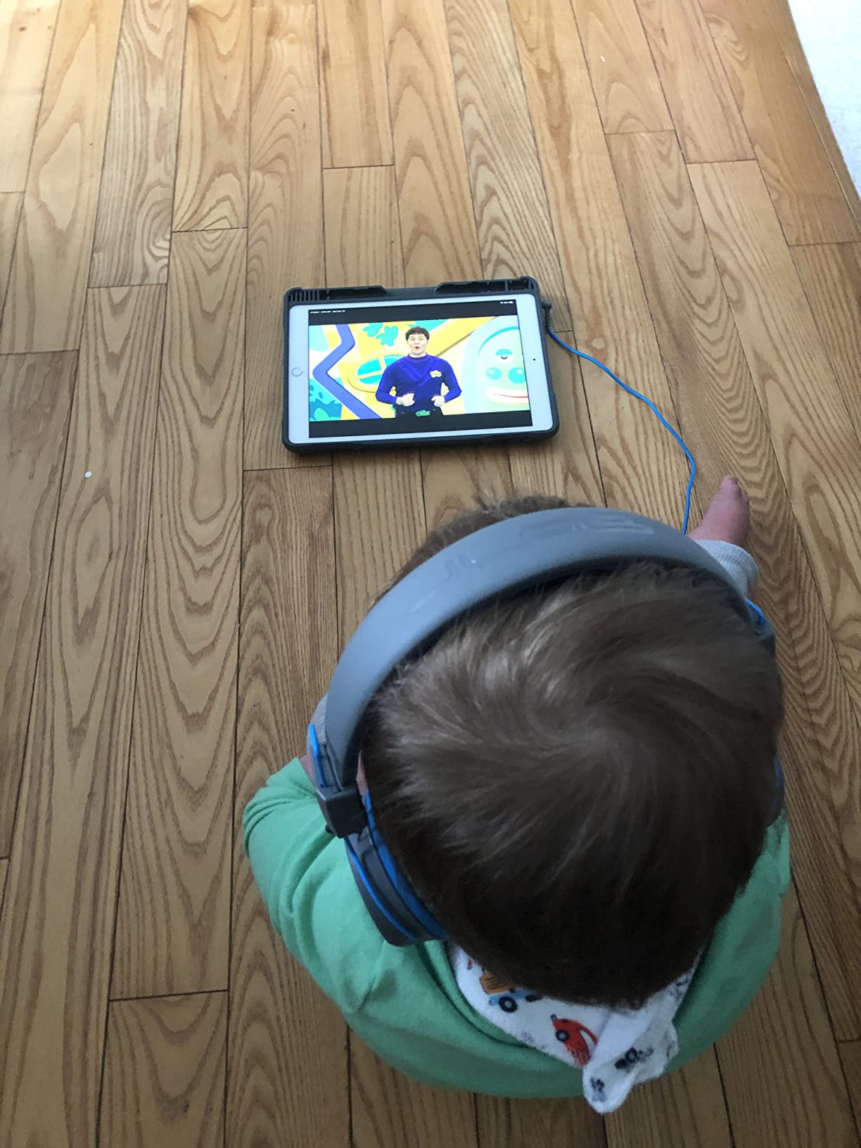 JLab JBuddies Studio On-Ear Kids Wired Headphones, Toddler Headphones, Kid Safe, Studio Volume Safe, Volume Limiter, Folding, Adjustable, Noise Isolation, with Mic (Blue/Green) customer photo 1