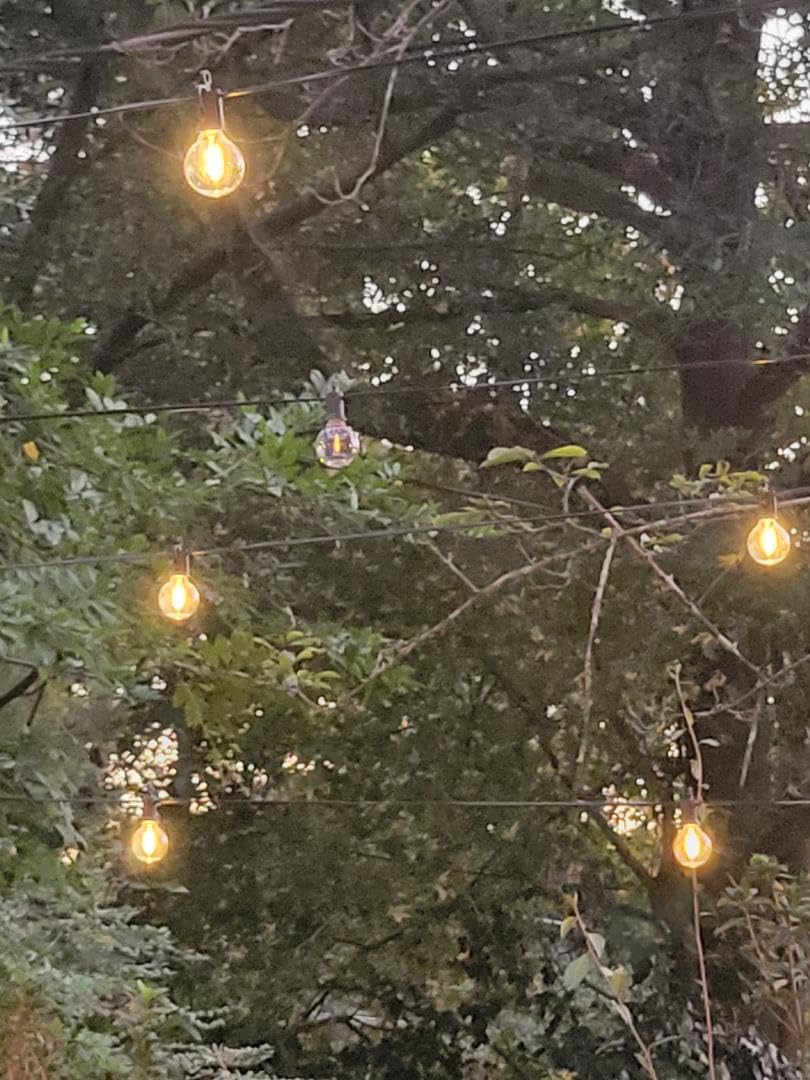 Brightown 108FT 52 LED Solar String Lights Outdoor with Remote & USB Port, Shatterproof Bulbs, Dimmable & Timable, 3 Light Modes, Patio Lights Solar Powered for Camping Backyard Garden Decor customer photo 2