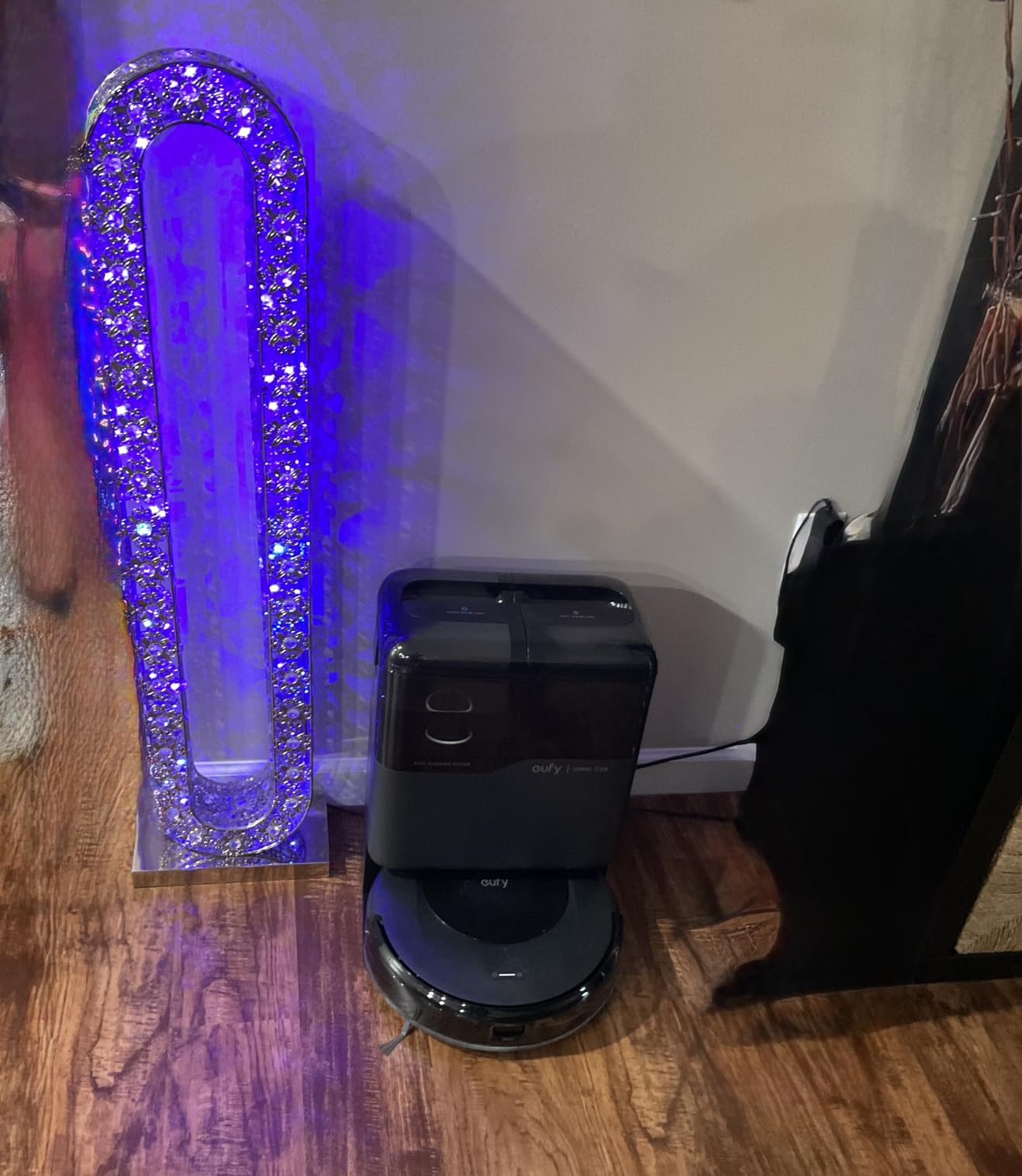 eufy Certified Like-New Omni C20 Robot Vacuum and Mop Combo, Self-Emptying, Auto Mop Washing & Drying for Hands-Free Cleaning, 7000 Pa Suction (Renewed) customer photo 2