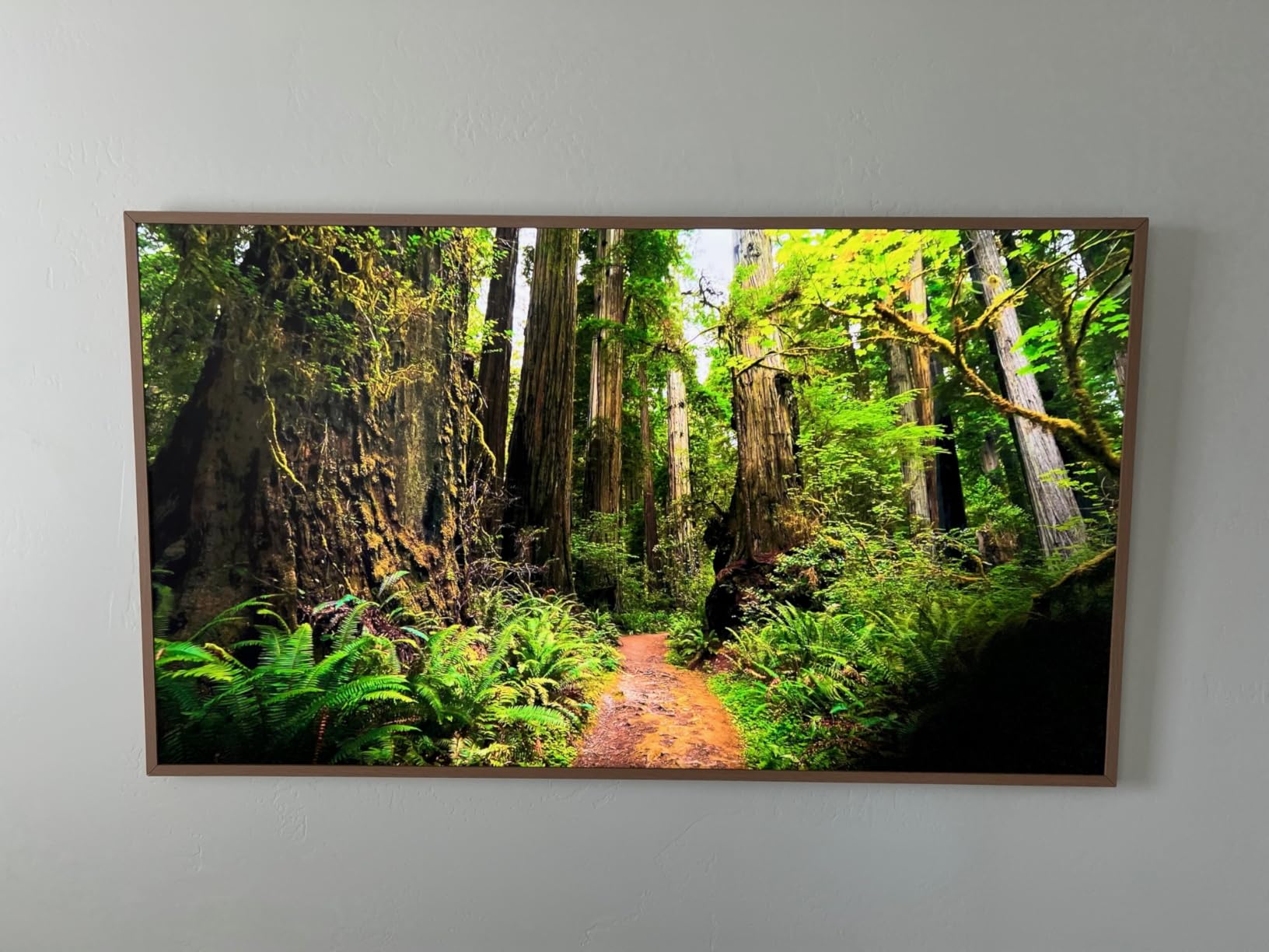 43-Inch Class The Frame LS03F 4K QLED Smart TV (2025 Model) Slim Fit Wall Mount, Modern Frame Design, NQ4 AI Gen2 Processor, Art Mode, Artful Picture Quality, Samsung Vision AI, Alexa Built-in customer photo 2