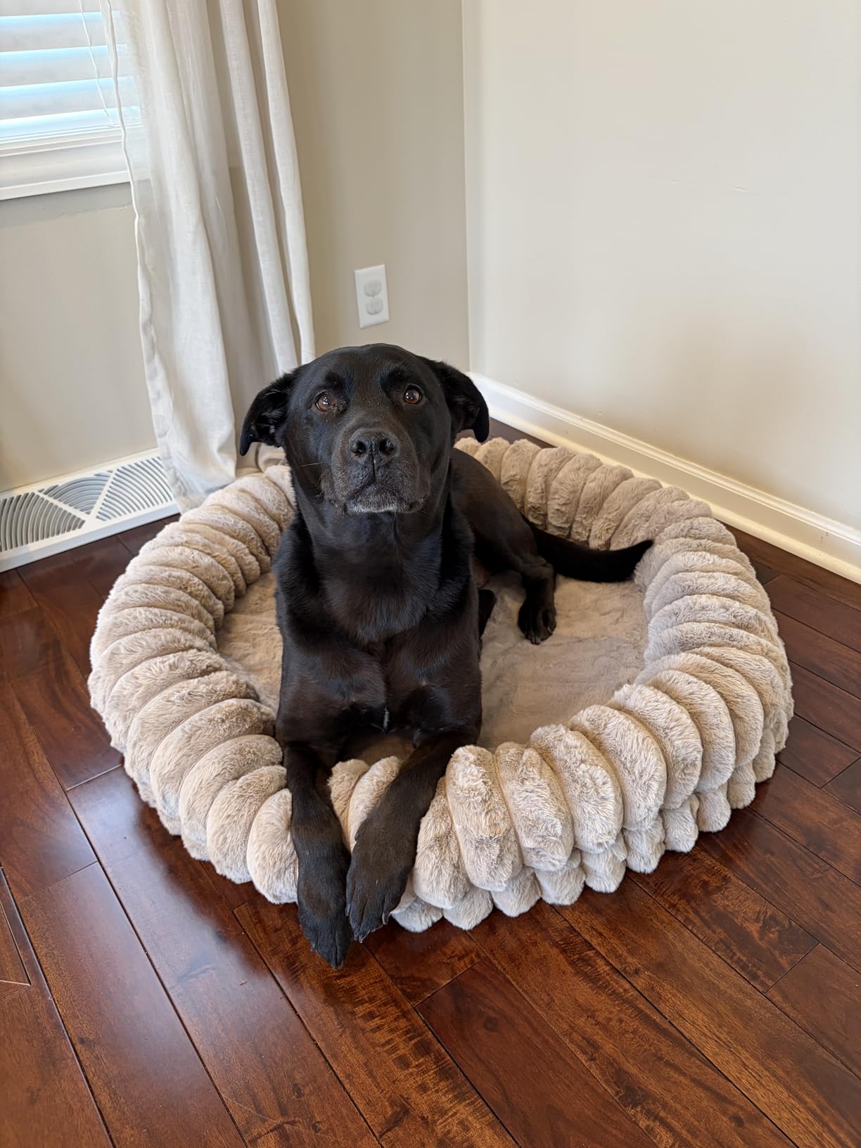 BALANCE Luxury Donut Dog Bed, 30 Inches Round Dog Bed Medium Size Dogs Washable, Orthopedic Calming Dogs Bed for Pets with Anti-Slip Bottom, Oatmeal customer photo 2