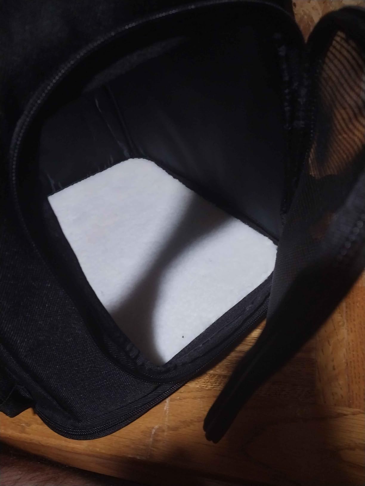 Amazon Basics Pet Carrier Backpack for Small Cats & Dogs, Collapsible Travel Carrier with Bubble Window & Breathable Mesh, Foldable for Travel, Black customer photo 2