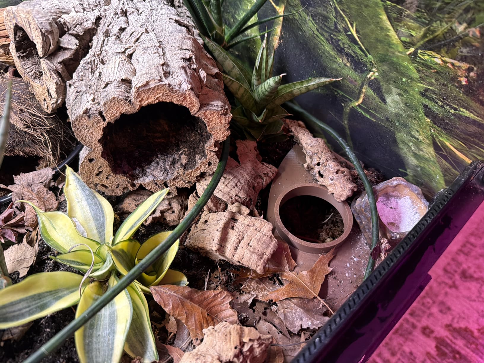 Reptile Corner Underground Cave Viewing Hide | Hognose Snake, Corn Snake & Leopard Gecko Hideout Reptile Habitat Tank Enrichment | Decor Decoration Accessories Supplies Toys Ornaments customer photo 1