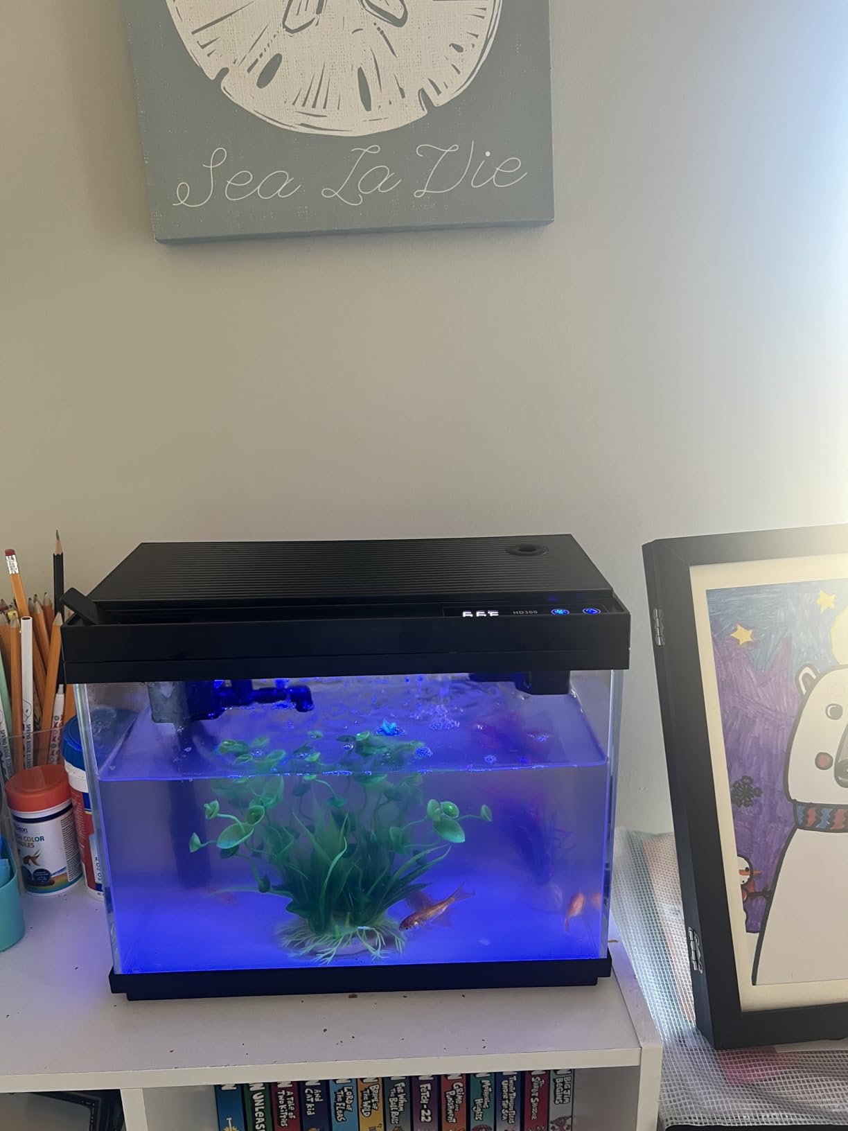 Fish Tank, 2.4 Gallon Fish Aquarium, Fish Tank Starter kit with Smart Humidifier, Temperature Display, 7-Color Lighting, 3 in 1 Quiet Pump with Filteration & Oxygenation & Circulation customer photo 1