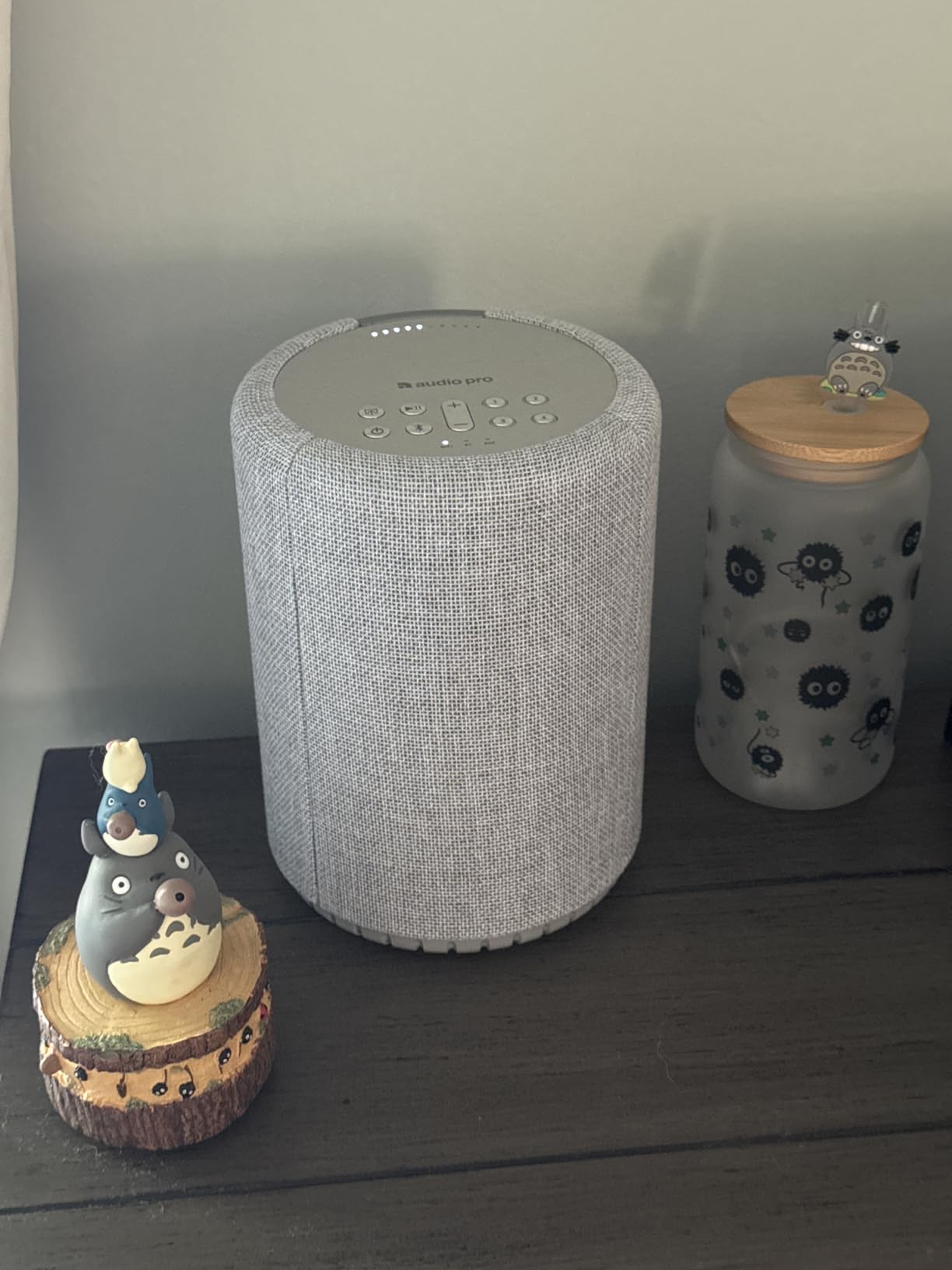 Audio Pro A10 MKII Wireless Multiroom Speaker, WiiM Edition | High Fidelity, AirPlay 2, Google Cast, Spotify Connect customer photo 1