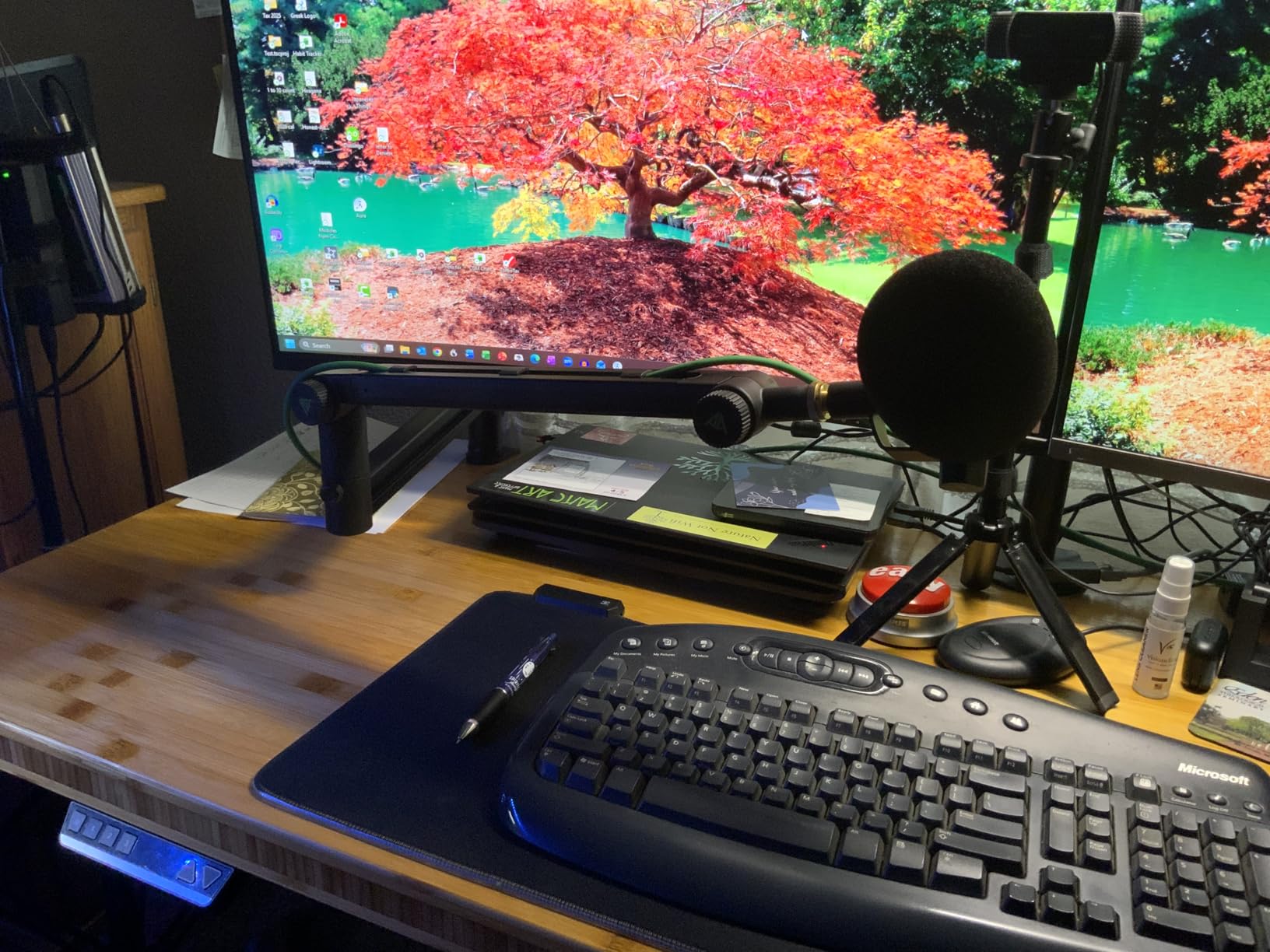Low Profile Boom Arm (Design for Heavy Mic) 6.6lbs Load Capacity, Stable Gear Lock Structure Never Sags, Metal Microphone Stand Desk Mount for Shure SM7B MV7+, Blue Yeti,Rode PodMic customer photo 1