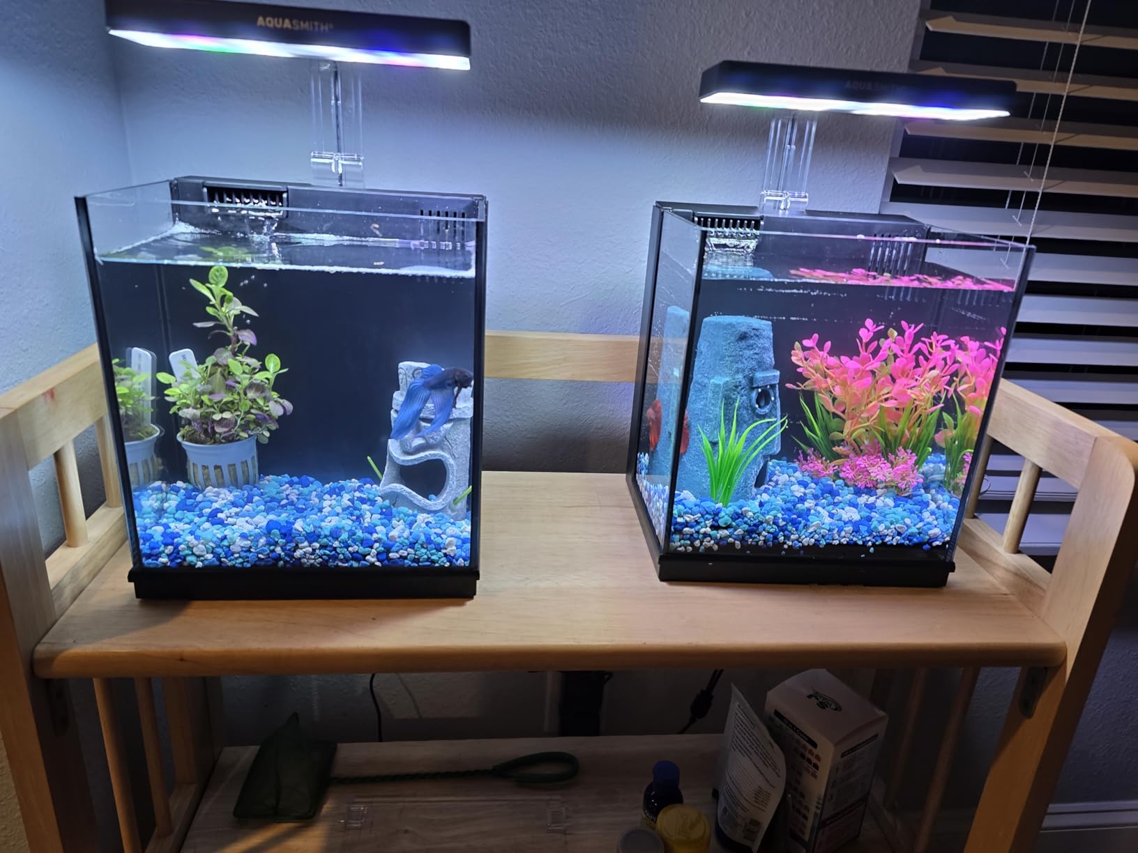 2 Gallon Betta Fish Tank with Built-in Filter & Light, Self Cleaning Aquarium for Kids & Starter, Black customer photo 1