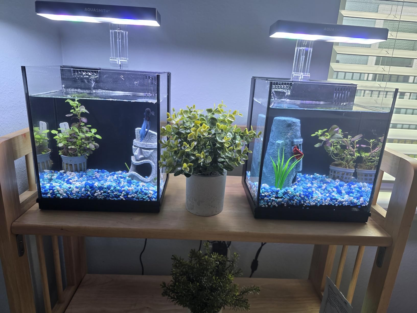 2 Gallon Betta Fish Tank with Built-in Filter & Light, Self Cleaning Aquarium for Kids & Starter, Black customer photo 2