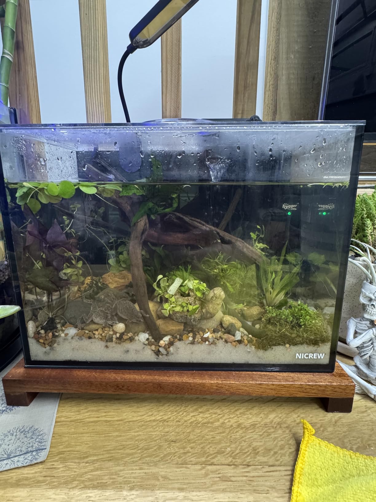 NICREW 2.5 Gallon Nano Nature Aquarium Kit, Ultra-Clear Rimless Desktop Fish Tank with Light and Filter, Perfect for Small Fish, Shrimp, or Betta, Basic Version, Clear customer photo 1