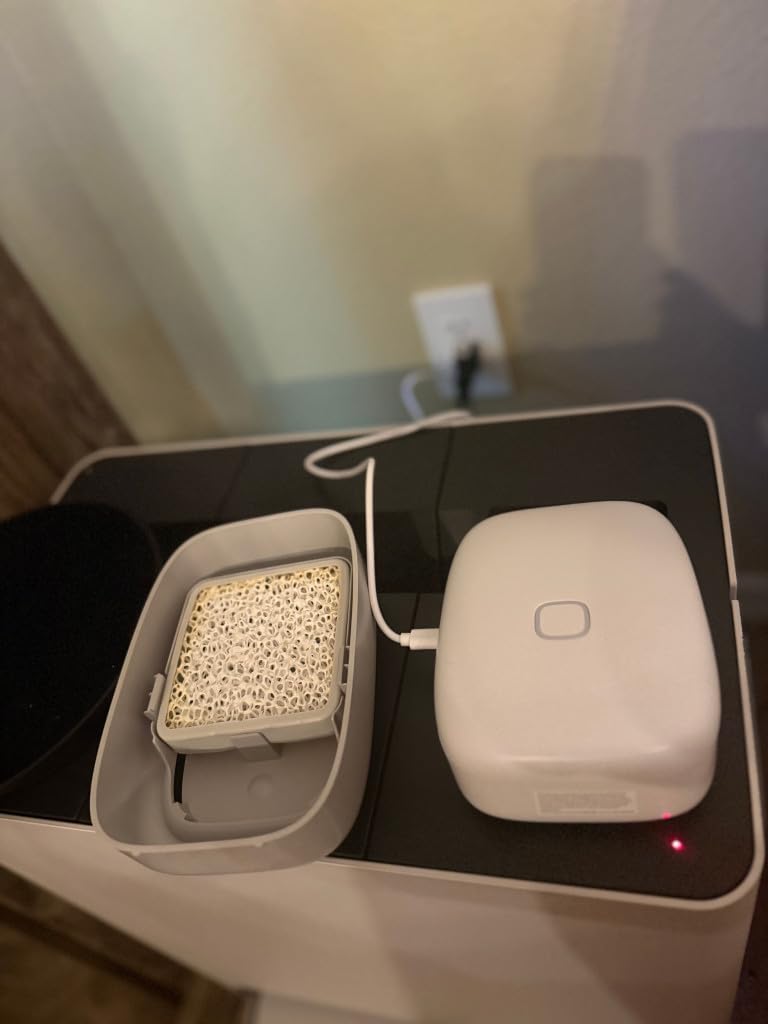 SHELFY Smart Refrigerator Device | Extends Food Freshness and Reduces Food Waste | Removes Bad Odors | IoT Technology | Photocatalytic and Washable Filter | USB-C Charging customer photo 1