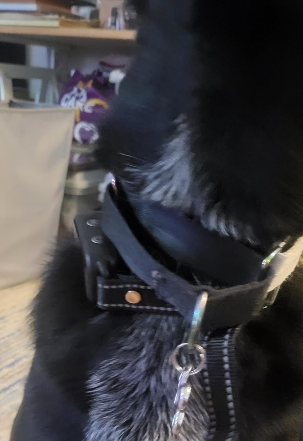DINJOO Dog Bark Collar for Large/Medium/Small Dogs | Rechargeable Smart AI Anti-Barking Training Collar with 8 Adjustable Sensitivity, Beep & Vibration Modes | Solves Excessive Barking - Dark Black customer photo 2
