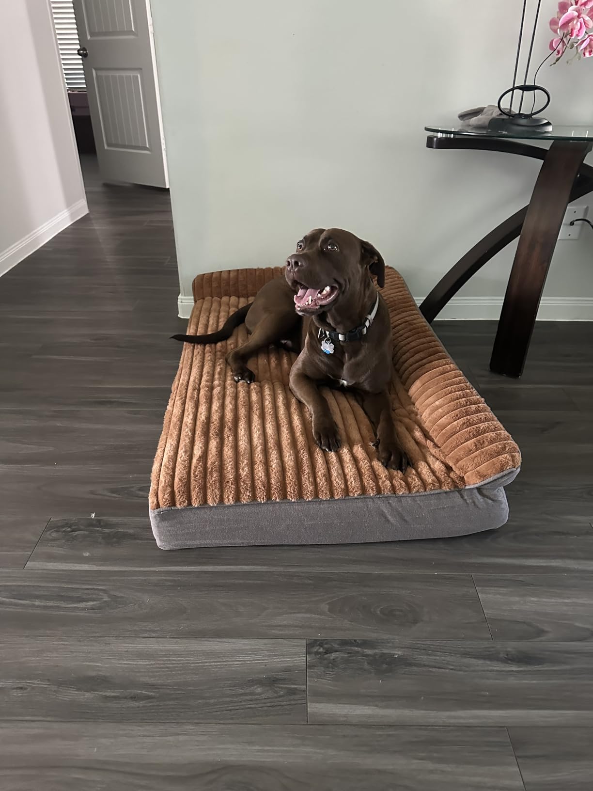 Veehoo Orthopedic Dog Bed for Large Senior Dogs, 7 Inch Thick XXL Memory Foam Dog Bed with L Shaped Bolsters, Orthopedic Pet Couch with Waterproof Liner & Removable Washable Cover, 52