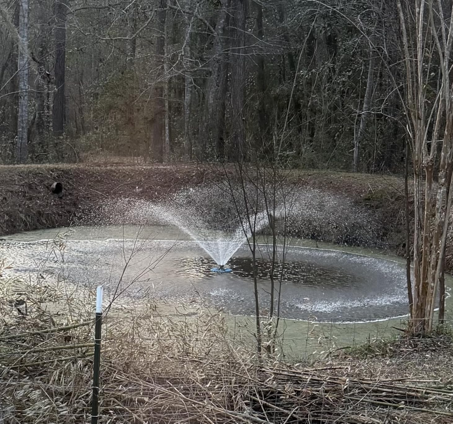RELIY Pond Fountain Aerator, 1HP 110V 15000 GPH Fountain Pump, Fully Automatic Powerful Lake Floating Fountain, 100 FT Power Cord, 2x100 FT Traction Rope, Pond Fountains For Large Ponds customer photo 2