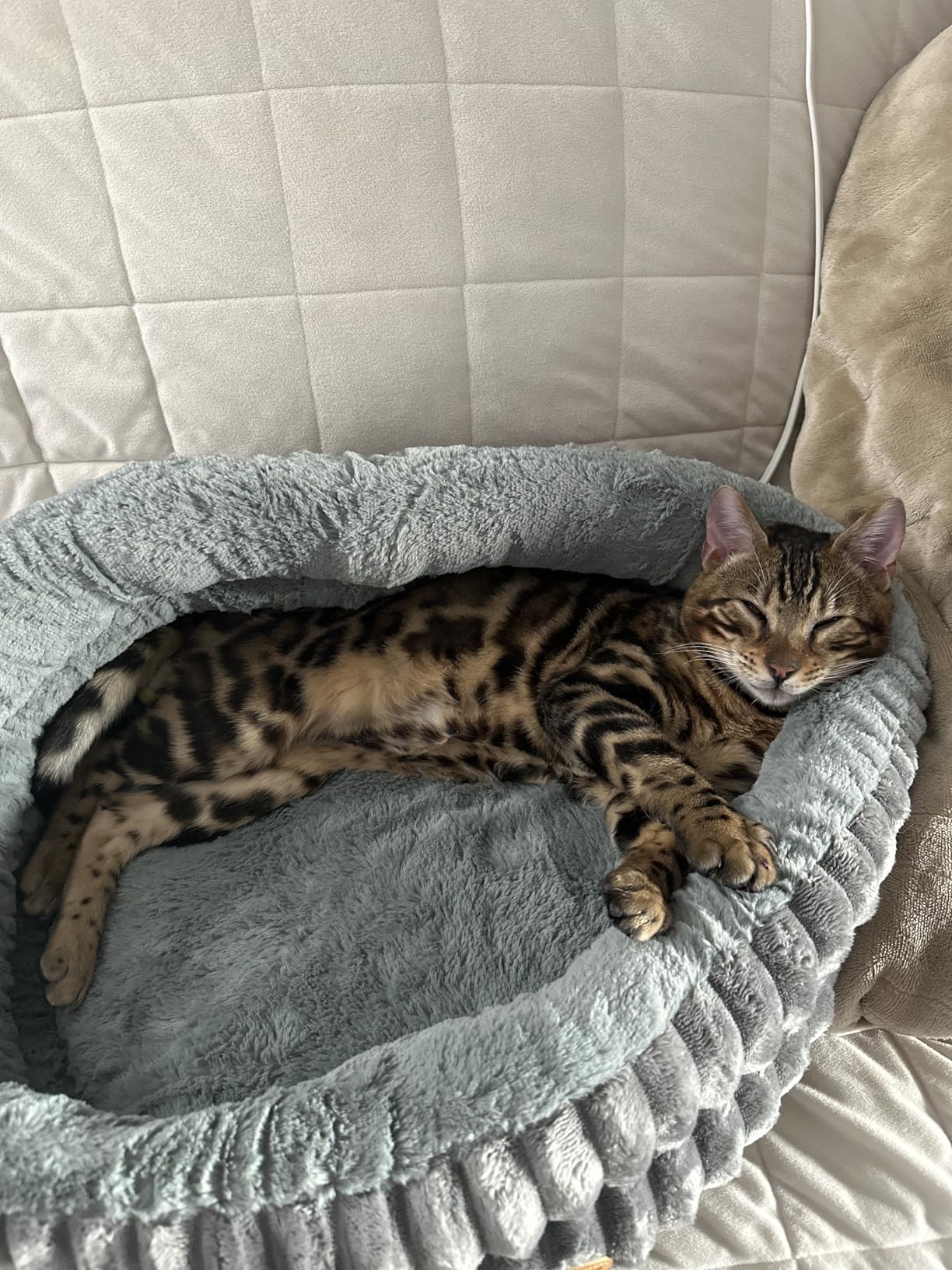 Heated Cat Bed Indoor, 20