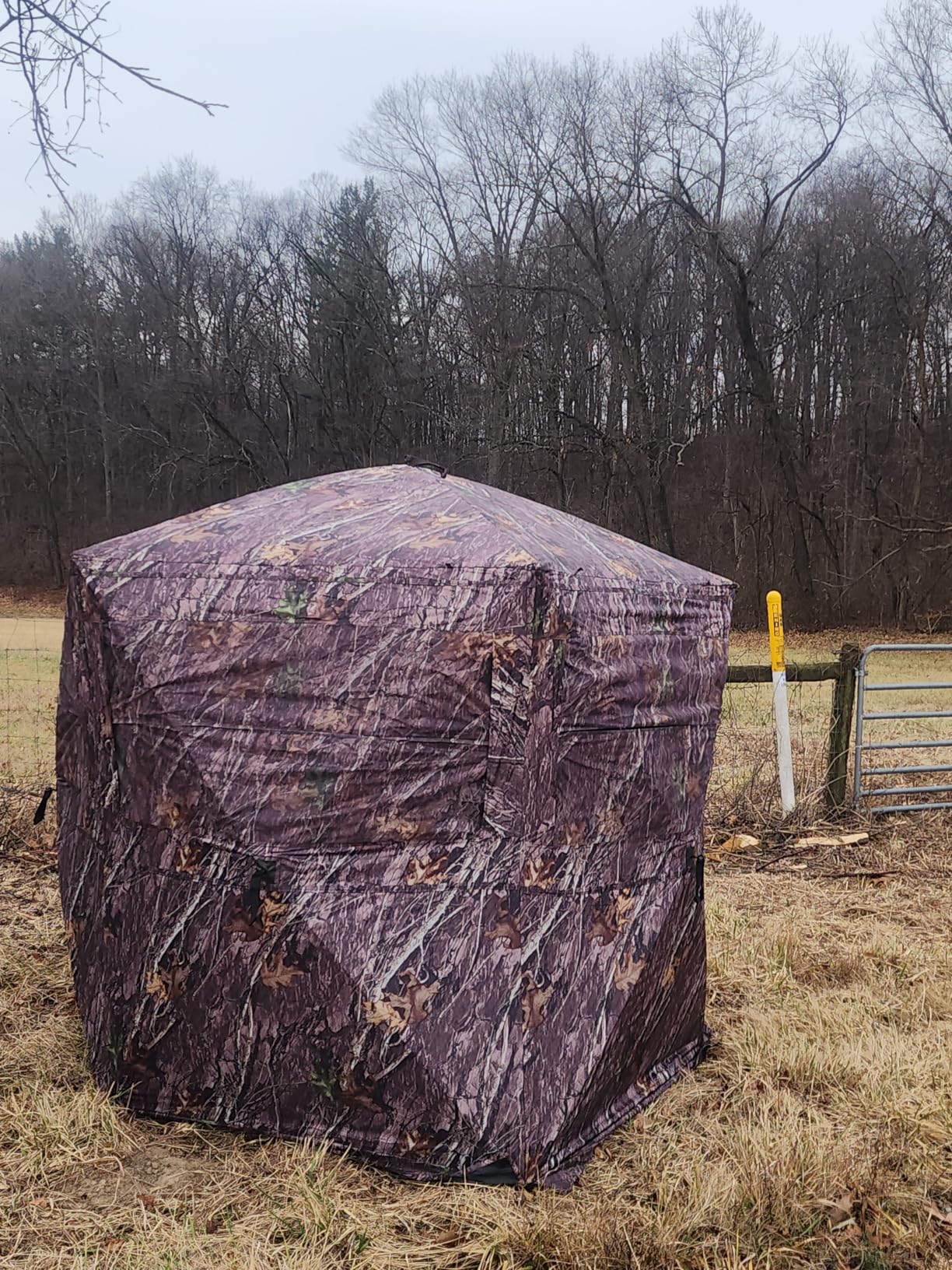 VEVOR Hunting Blind, See Through Ground Blinds with Carrying Bag, 360 Degree Portable Camouflage Tent, Durable Concealed Shelter with Silent Side Door and Window, for Turkey and Deer customer photo 1