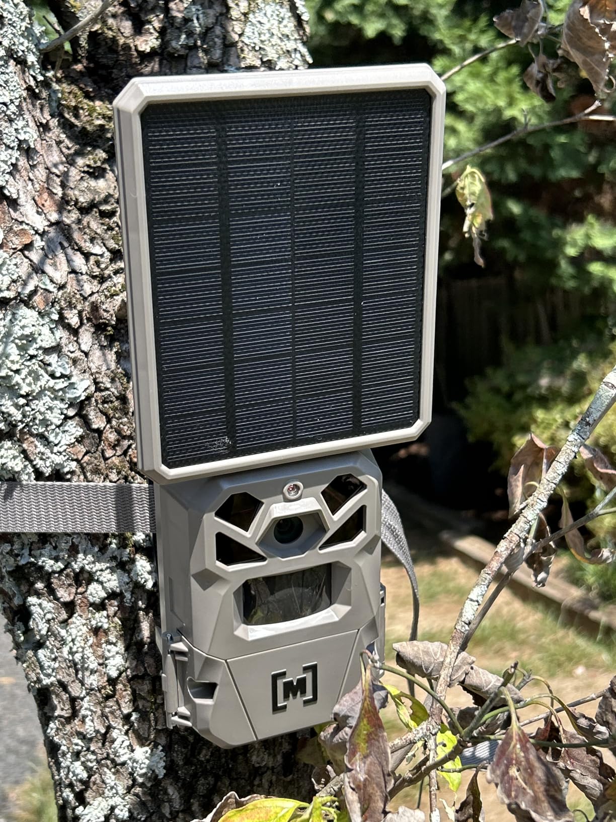 Moultrie Edge Solar Cellular Trail Camera - Integrated Solar Panel with Battery - 40MP - 1080p Video - Low-Glow Flash - Multi-Carrier Auto-Connect - Built-in Memory - 0.4s Trigger Speed customer photo 1