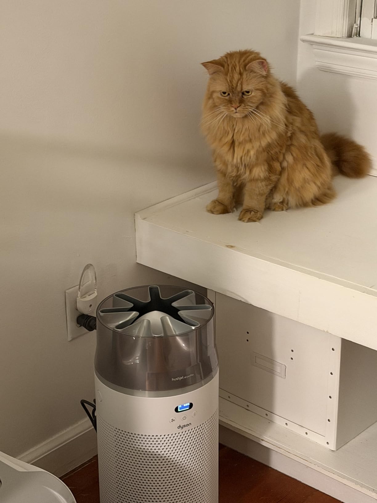 Dyson Hushjet Compact Purifier, Engineered for Powerful, Whisper-quiet, Whole-room Air Purification - White/Silver customer photo 1