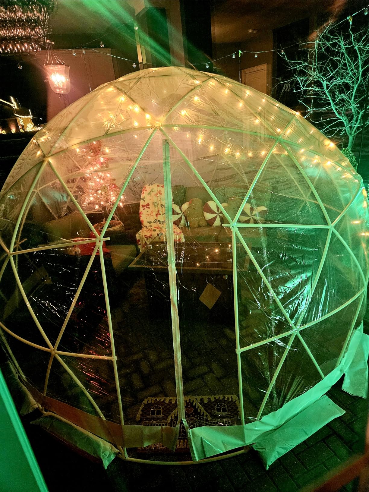 Garden Dome Tent 12*7.2FT, 360° View Geodesic Dome Greenhouse with PVC Clear Cover, Waterproof Garden Bubble Dome Tent House with 2 x 10M Light Strings for Outdoor, Green customer photo 1