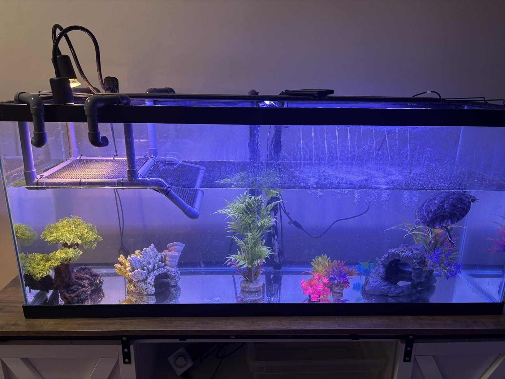 SKARUS Extra Large Hanging Turtle Basking Platform, 13.4