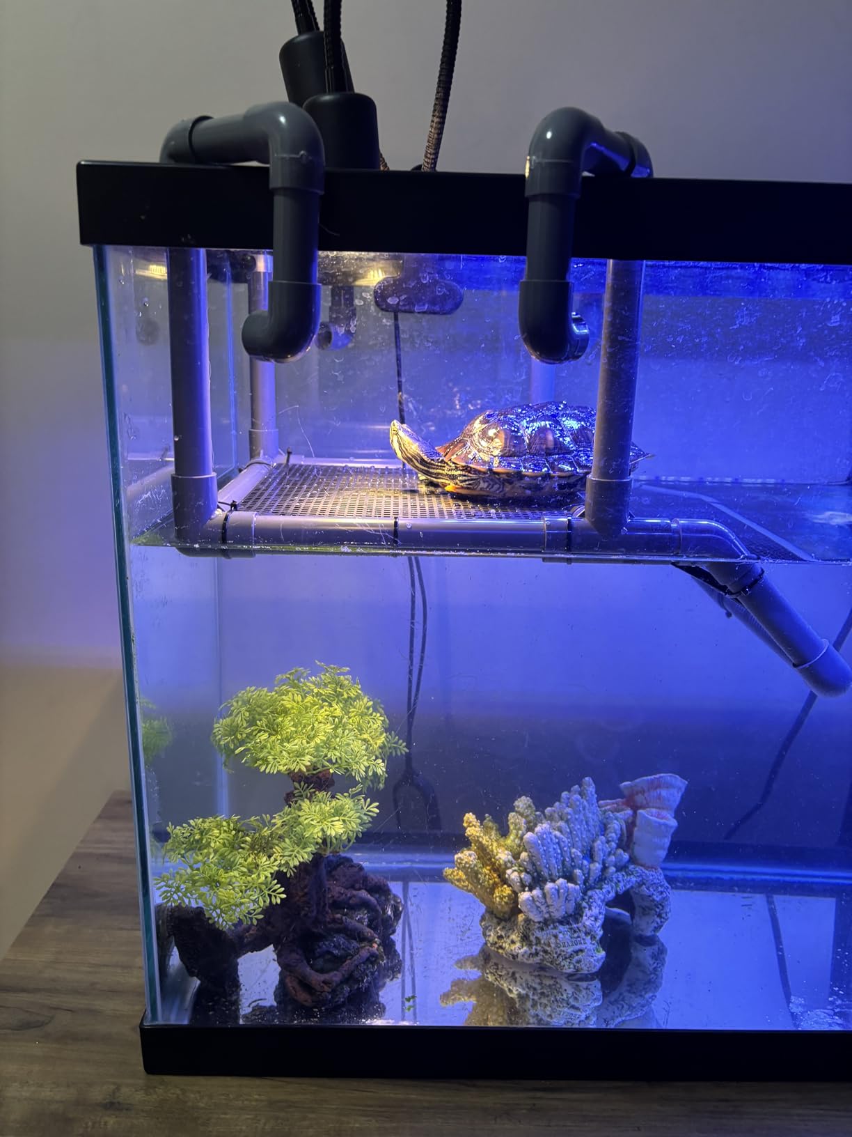 SKARUS Extra Large Hanging Turtle Basking Platform, 13.4