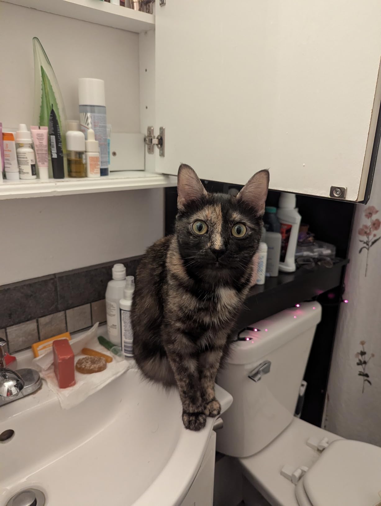 Dental Fresh Cat Water Additive, Tuna Flavor Dental Care - Easy Oral Care, Cleaner Teeth, Fresh Breath customer photo 1