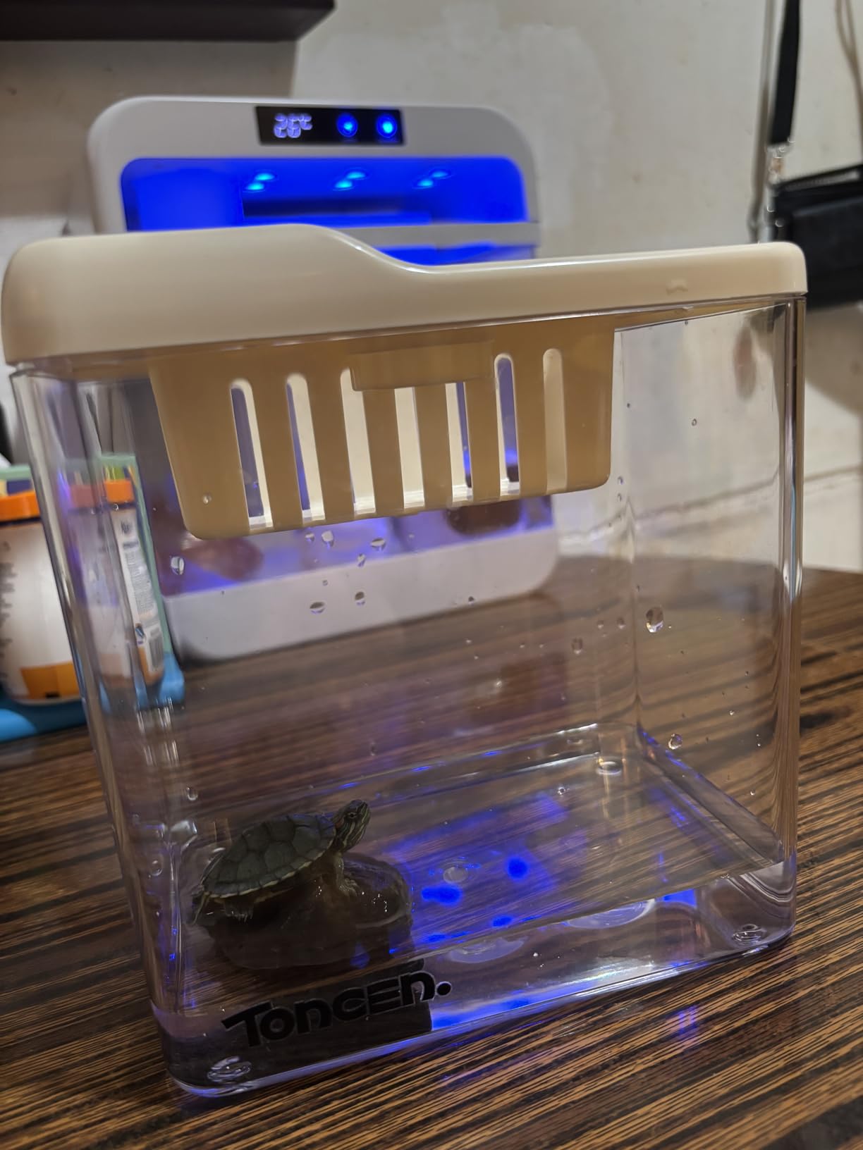 Glass Fish Tank Kit, 5 Gallon Betta Fish Tank Aquarium Starter Kit with Filter, Lights, Lid, for Betta, Goldfish, Small Fish or shrimp customer photo 1