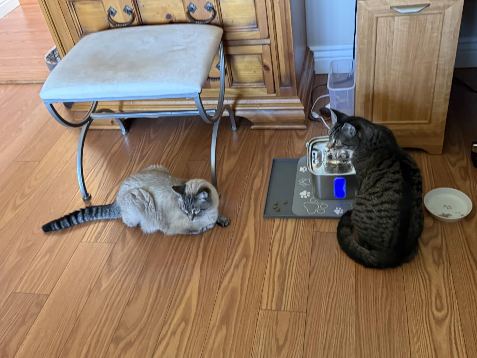 Veken Innovation Award Winner Stainless Steel Cat Water Fountain, 108oz/3.2L Automatic Pet Fountain Dog Water Dispenser with 3 Replacement Filters & Silicone Mat, Gifts for Cats, Dogs (Silver) customer photo 1