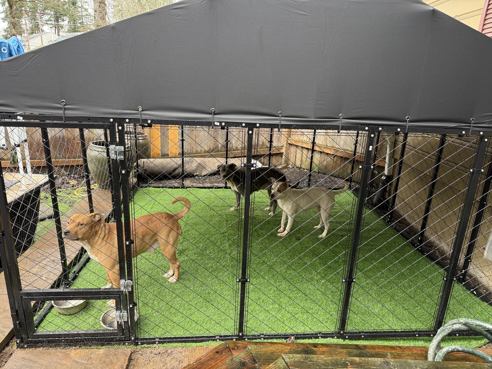 6x6x5.8 FT Heavy Duty Dog Kennel Outdoor with Water-Resistant Roof, Anti-Rust Metal Enclosure for All Weather Resistant, Secure Double Locks for Large Dogs Backyard customer photo 1