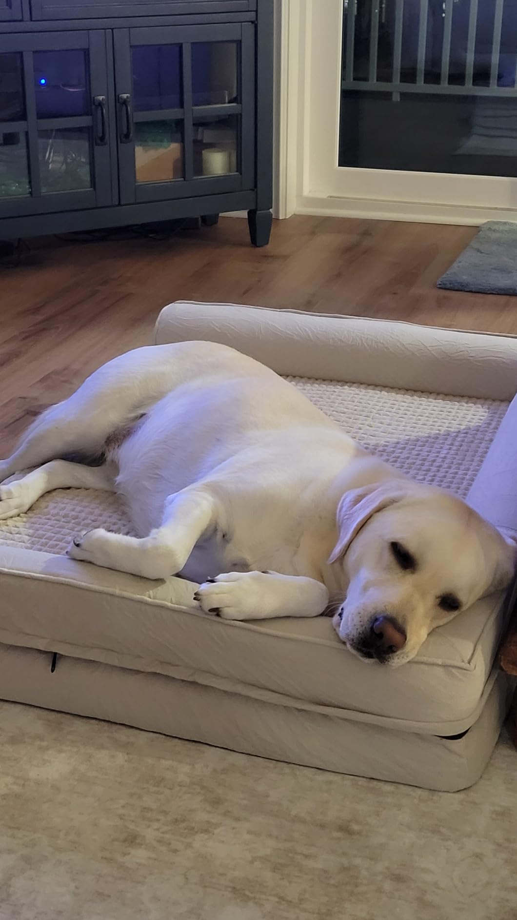 Orthopedic Dog Beds for Large Sized Dog, XL Bolster Pet Couch with Waterproof Lining, Egg Crate Foam Sofa for Pets Up to 100 lbs, U-Shaped, 44x32x7 inch, Grey customer photo 1