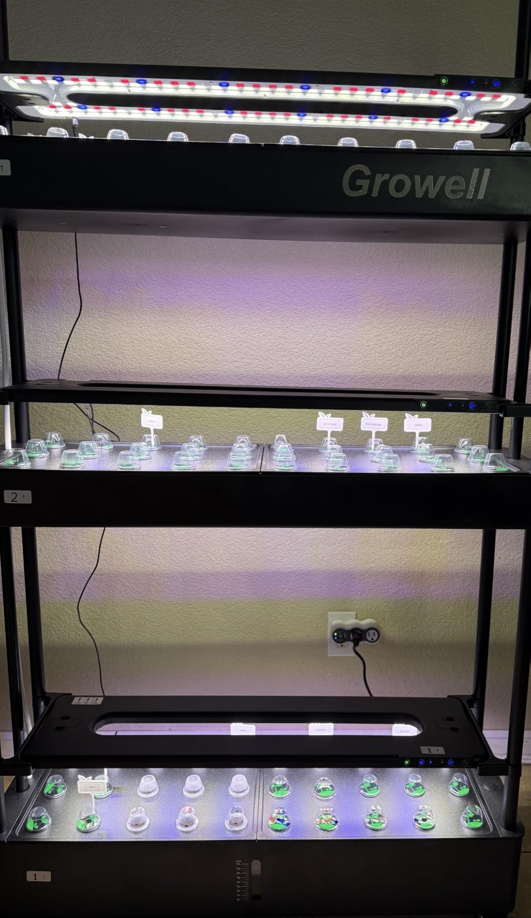 Large Hydroponics Growing System Kit, 90 Pods Vertical Indoor Herb Garden Kit with 2 Light Modes & Auto Circulating Water System, 40L Movable Indoor Gardening System for Herb Vegetable Fruit customer photo 2
