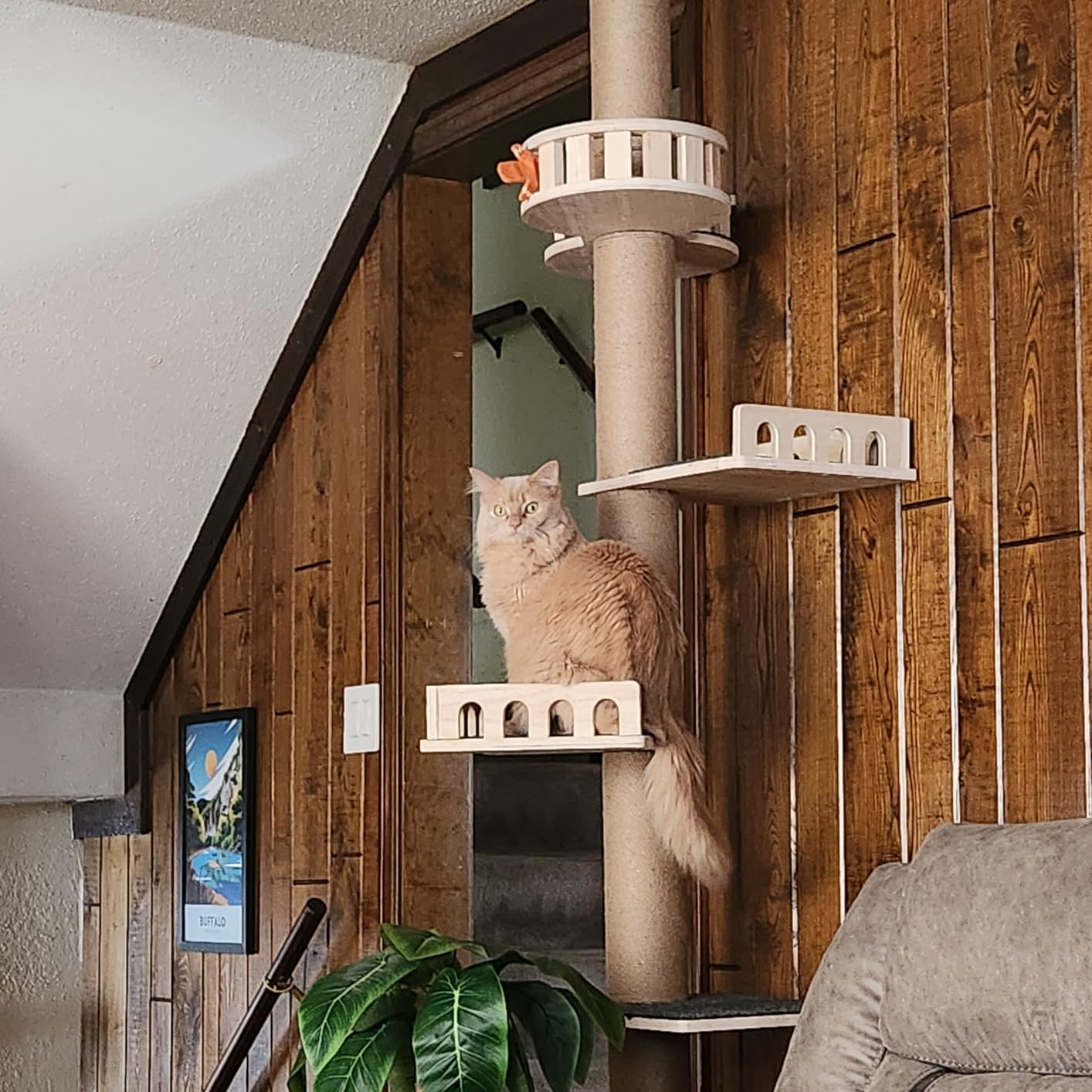 Veehoo Floor to Ceiling Cat Tree, Adjustable Height (5.1-9.4 ft) Tall Climbing Tower with Sisal Scratching Posts, Modern Cat Activity Tree for Indoor Cats customer photo 1