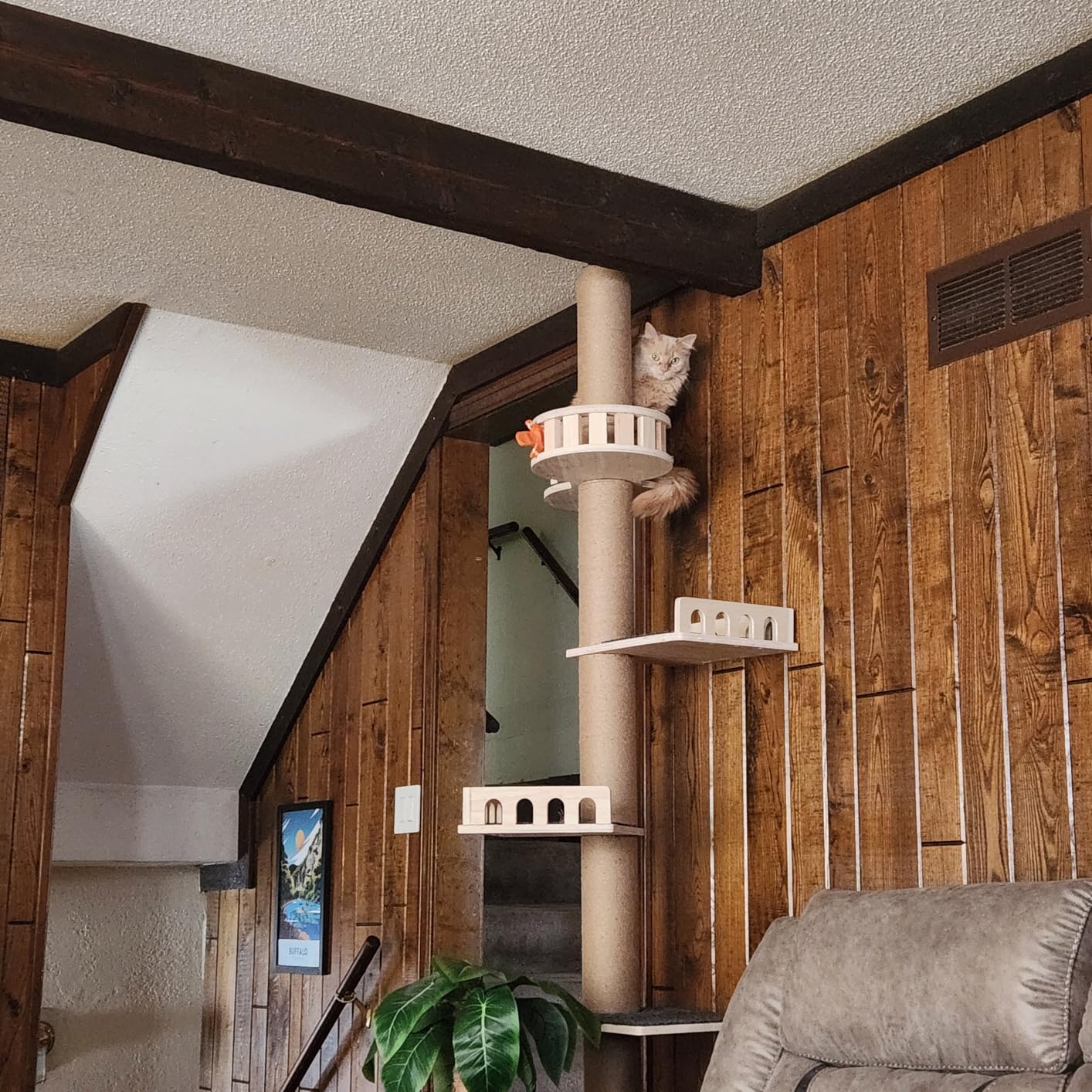 Veehoo Floor to Ceiling Cat Tree, Adjustable Height (5.1-9.4 ft) Tall Climbing Tower with Sisal Scratching Posts, Modern Cat Activity Tree for Indoor Cats customer photo 2