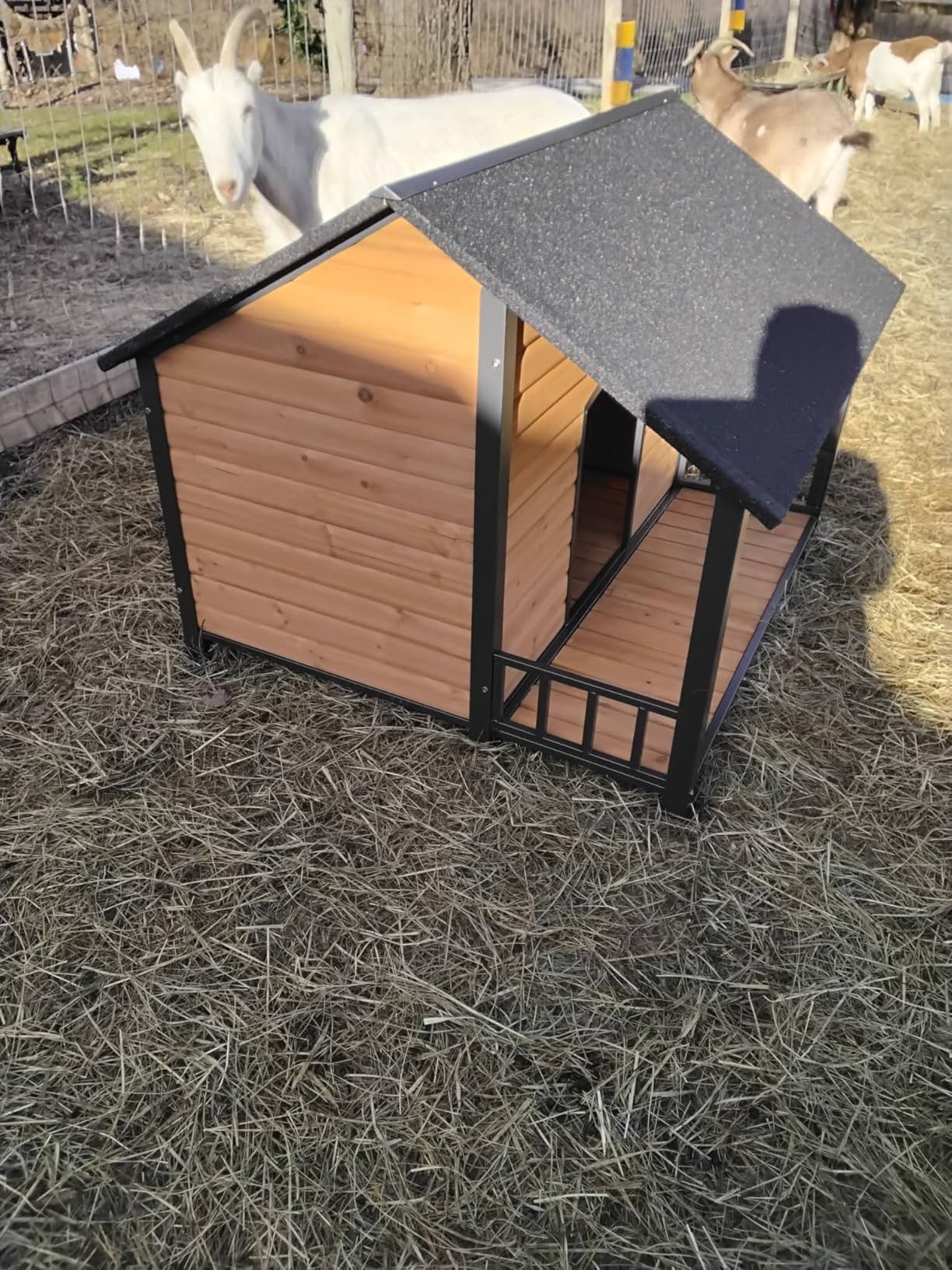 Extra Large Heated Dog House Outdoor for Large Breed Dogs, Insulated Dog Kennel Outside, Metal Frame,Weatherproof Dog Shelter with Porch and Elevated Floor, for XL Big Dog (Heating Pad) (Brown) customer photo 2