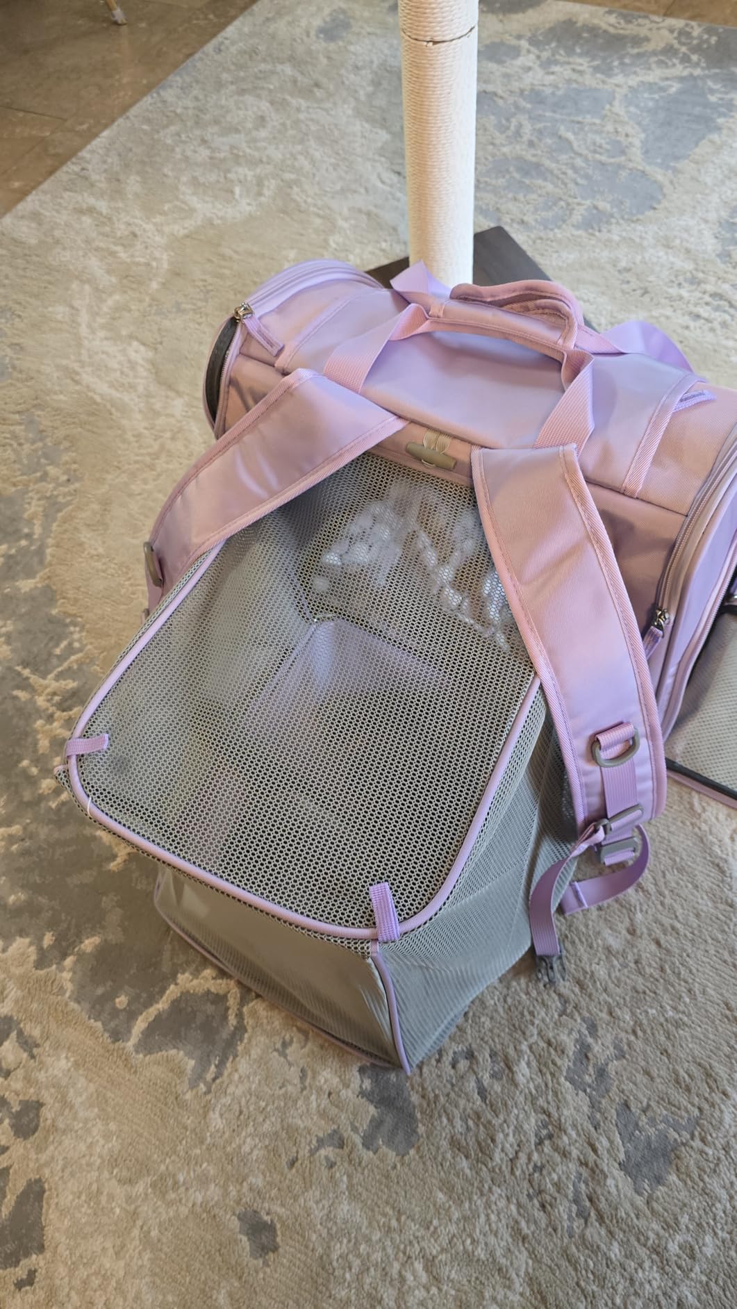 Lollimeow Expandable Cat Carrier Backpack for Large Cats - Airline Approved Pet Carrier Backpack for Small Dogs, Hiking & Travel, Waterproof with Breathable Mesh, 14lbs Capacity (Dark Grey, Standard) customer photo 1