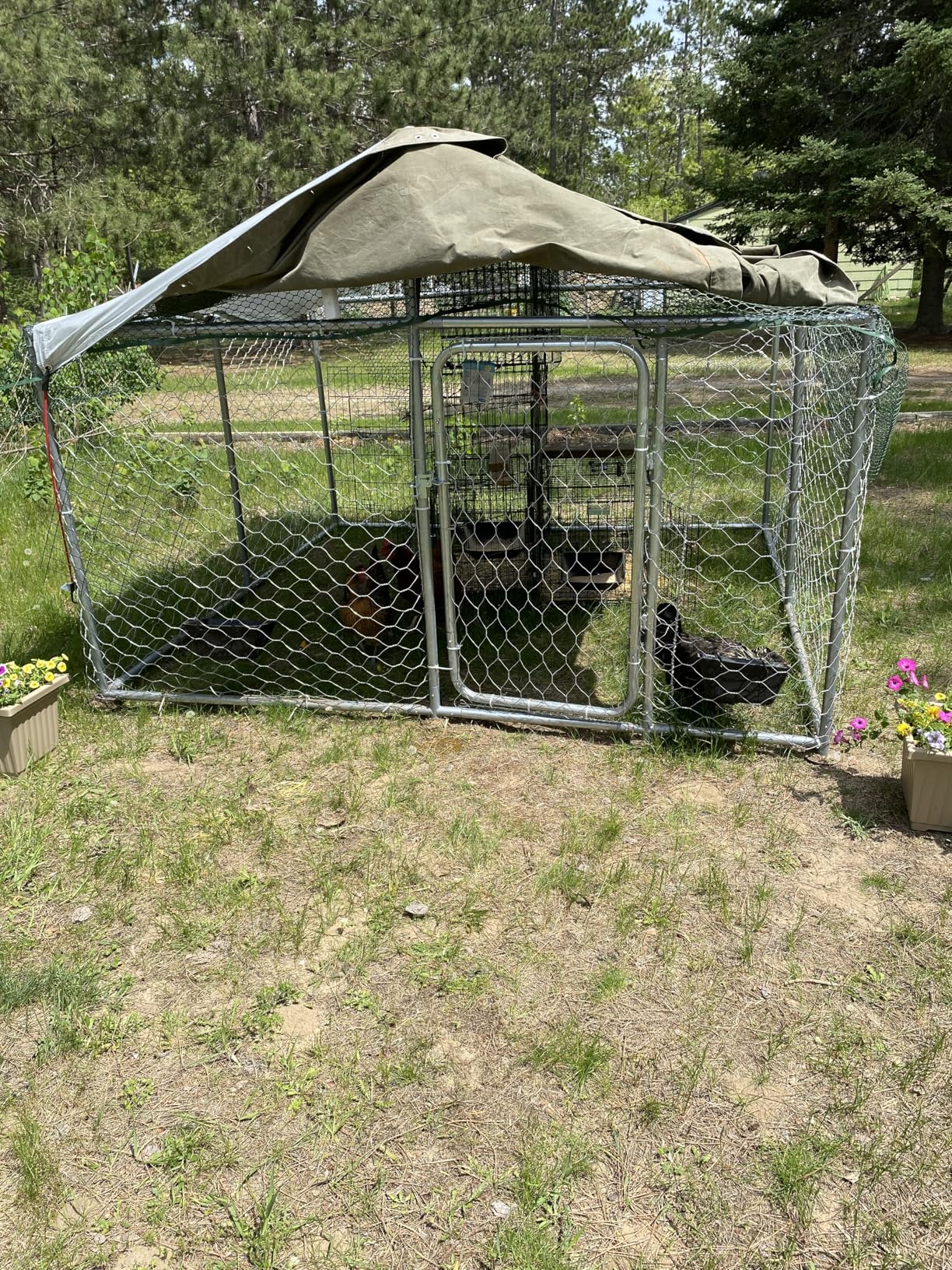 10x10 FT Outdoor Dog Kennel with Waterproof Roof - Heavy Duty Metal Exercise Pen, Weatherproof UV-Resistant Cover & Secure Locking for Large Breed Dogs（124 x 124 x 87IN） customer photo 1