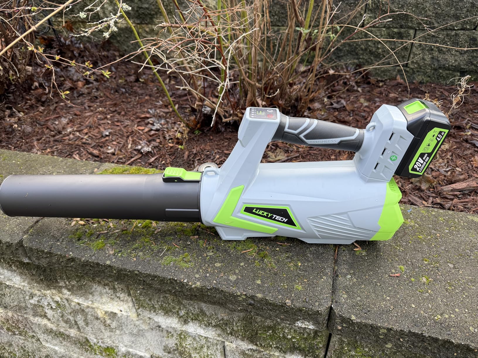 Leaf Blower Cordless, 5-Speed Leaf Blowers with 2 x 4.0Ah Batteries and Turbo Mode, Lightweight Snow Blower Grass Blower for Lawn Care, Patio, Yard, Blows Leaves, Snow and Dust customer photo 1